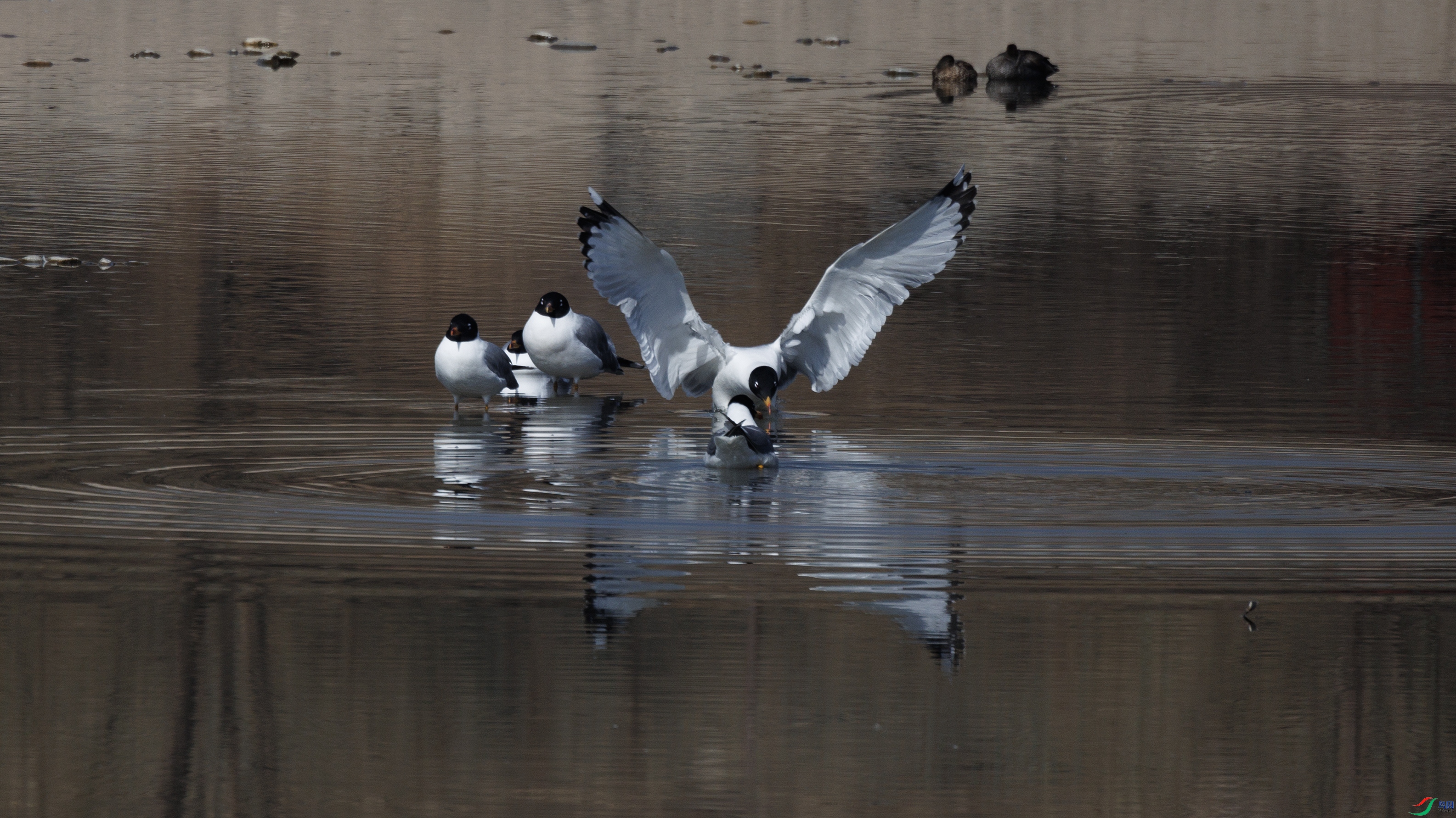 7X5A6422 ����.jpg