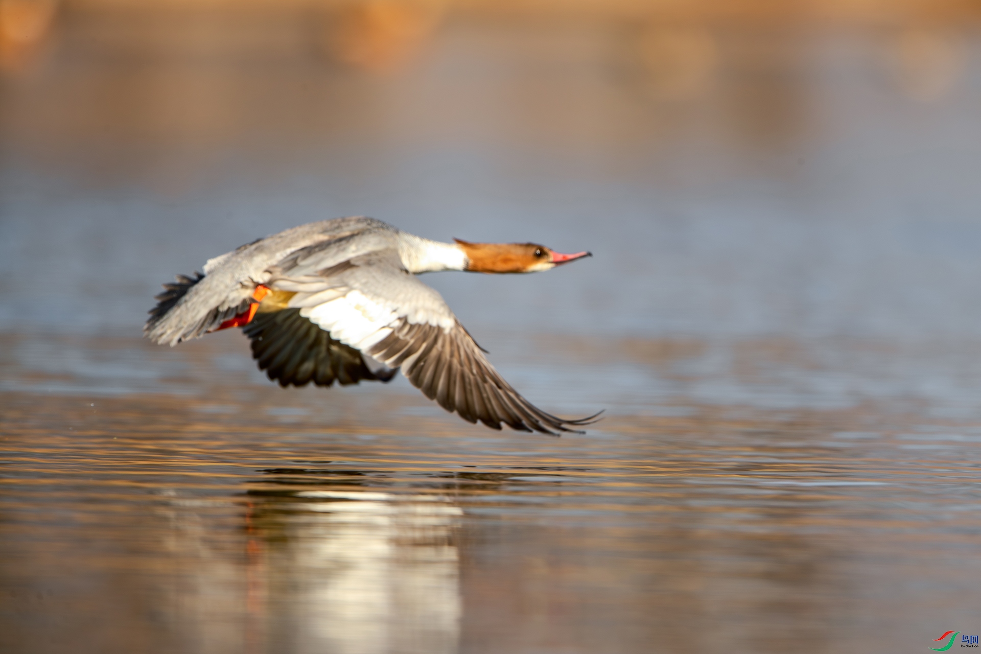 BY2I7923-1ab.jpg