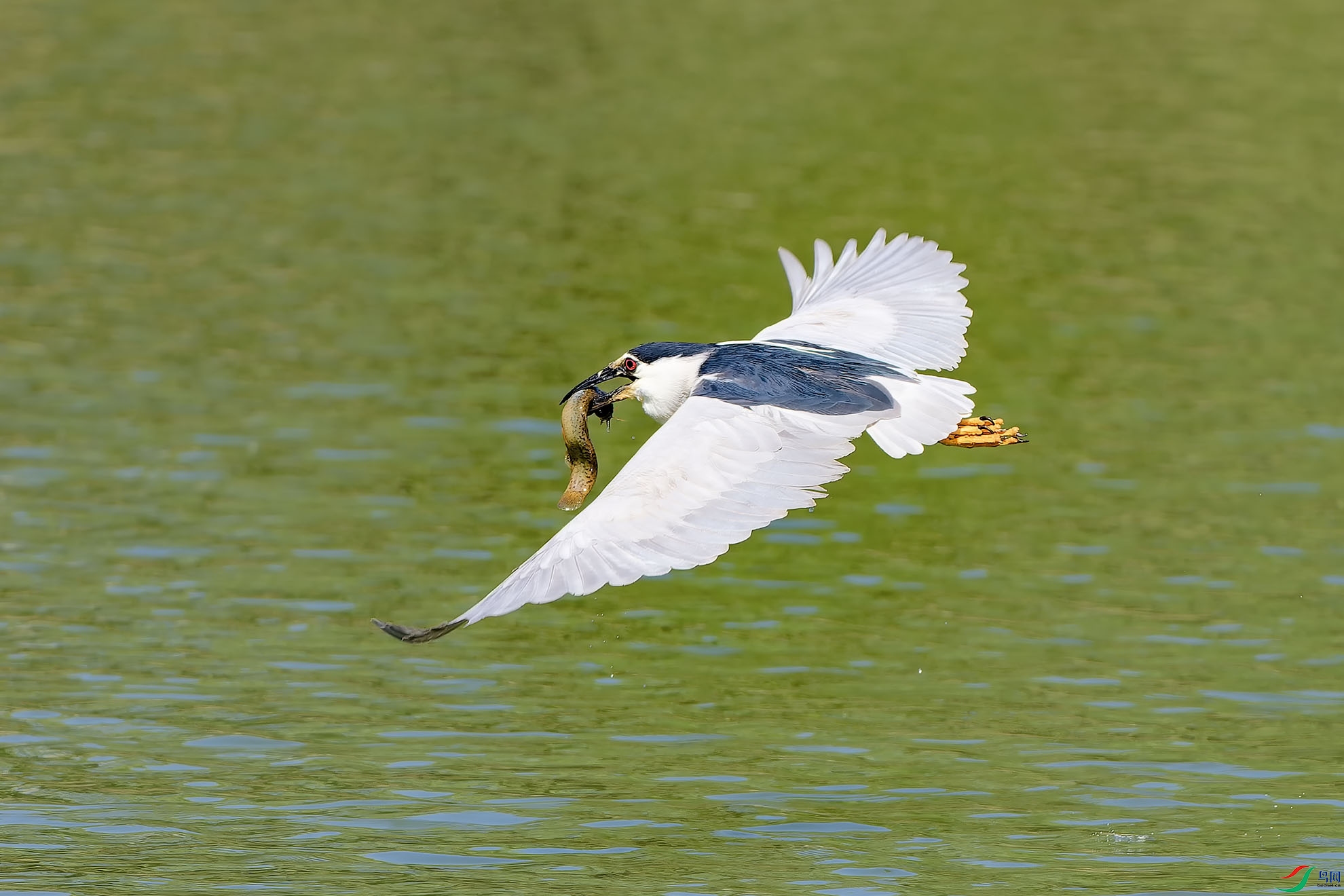 P5150282-ORF ����1.jpg