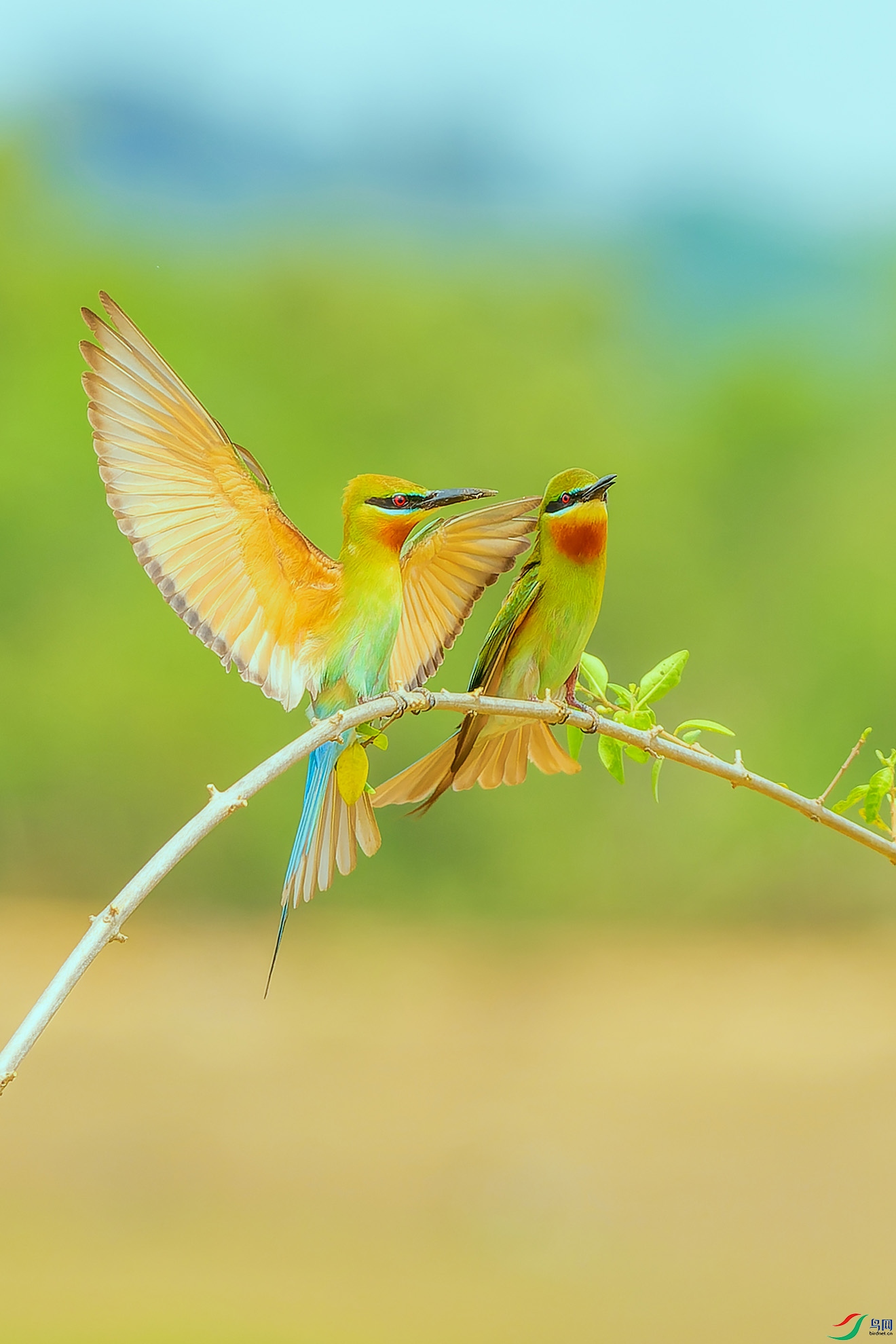 P4180545-ORF_DxO_DeepPRIME ���� 21.jpg