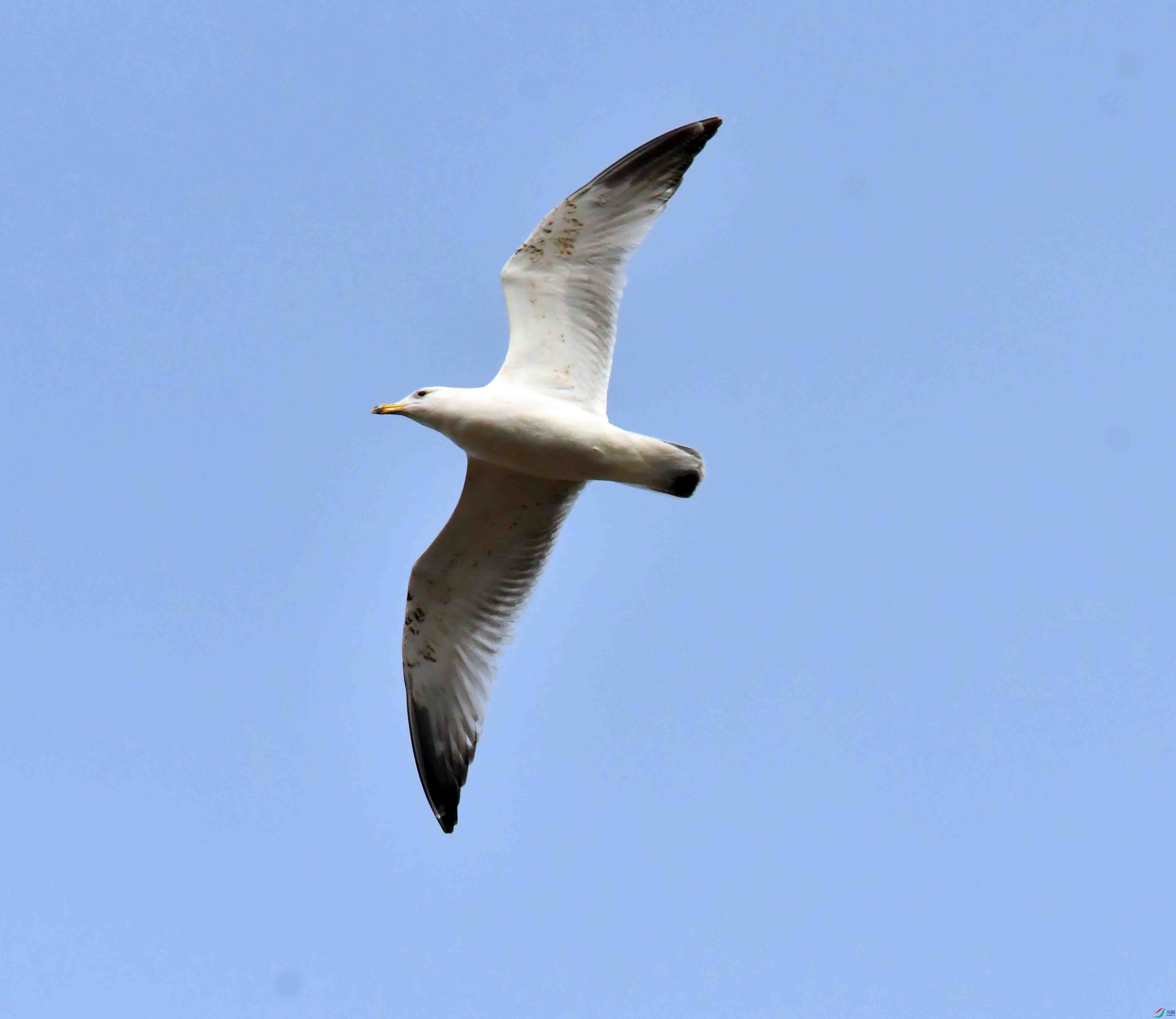 DSC_0048.JPG