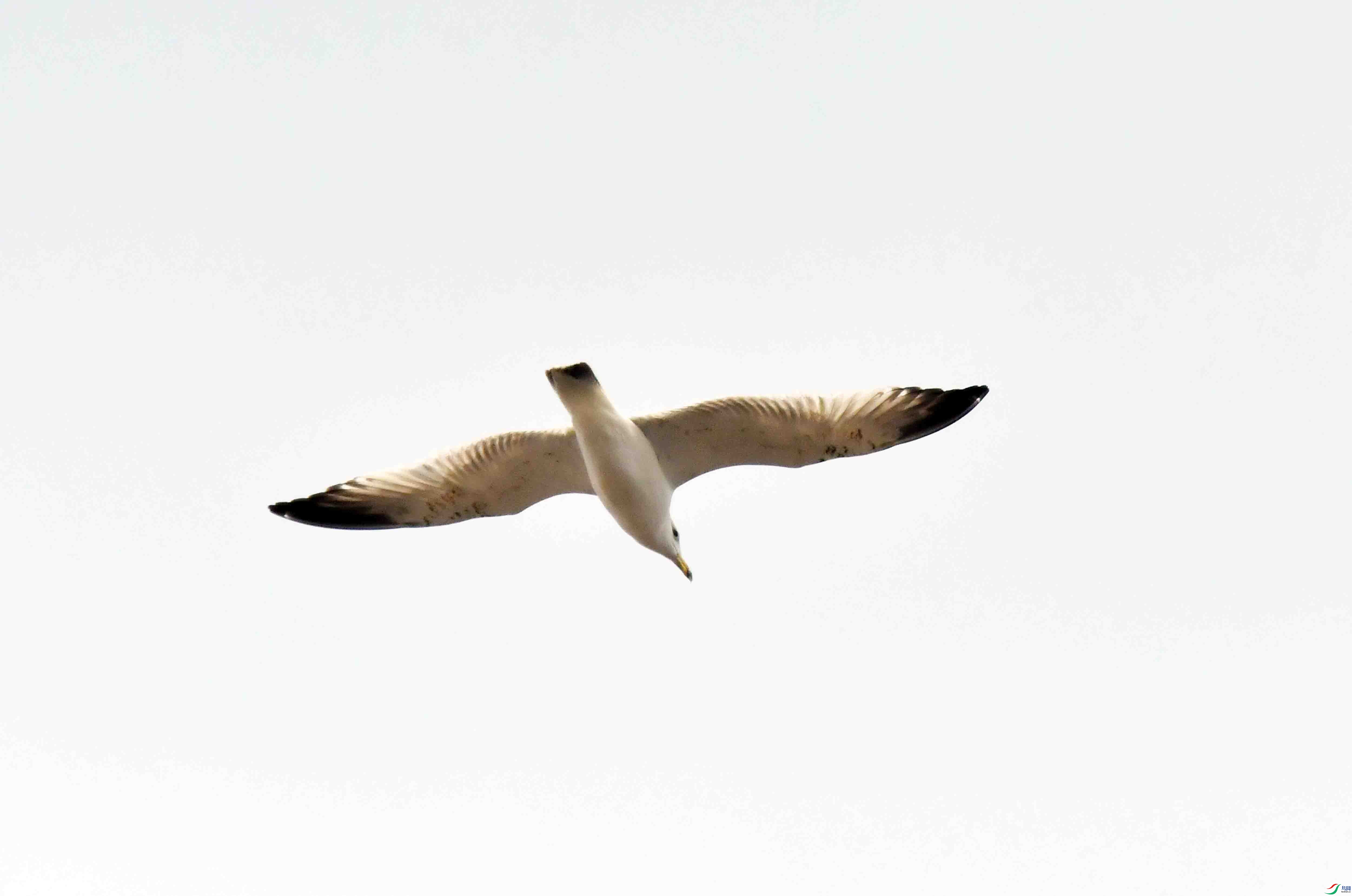 DSC_0053.JPG