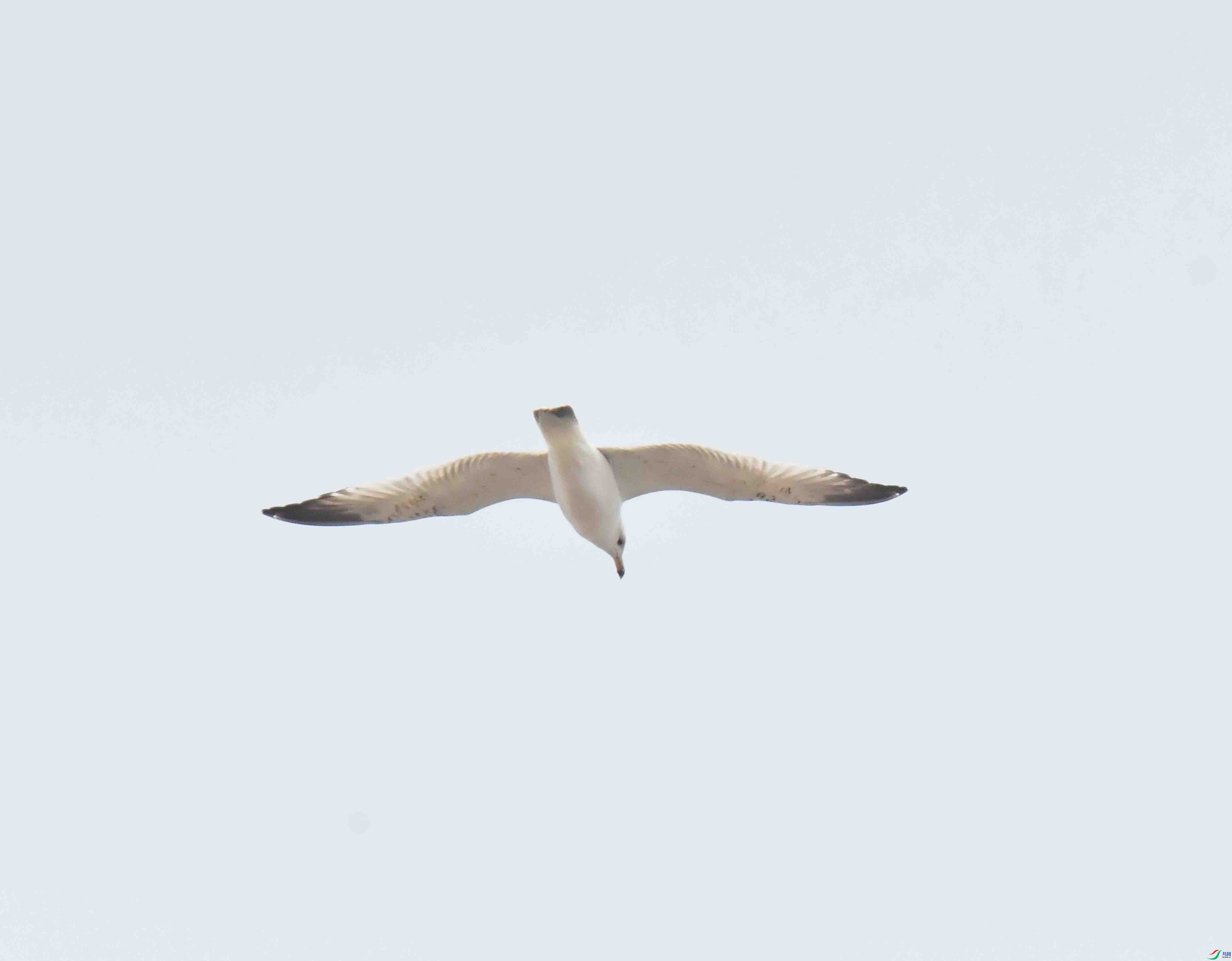DSC_0056.JPG