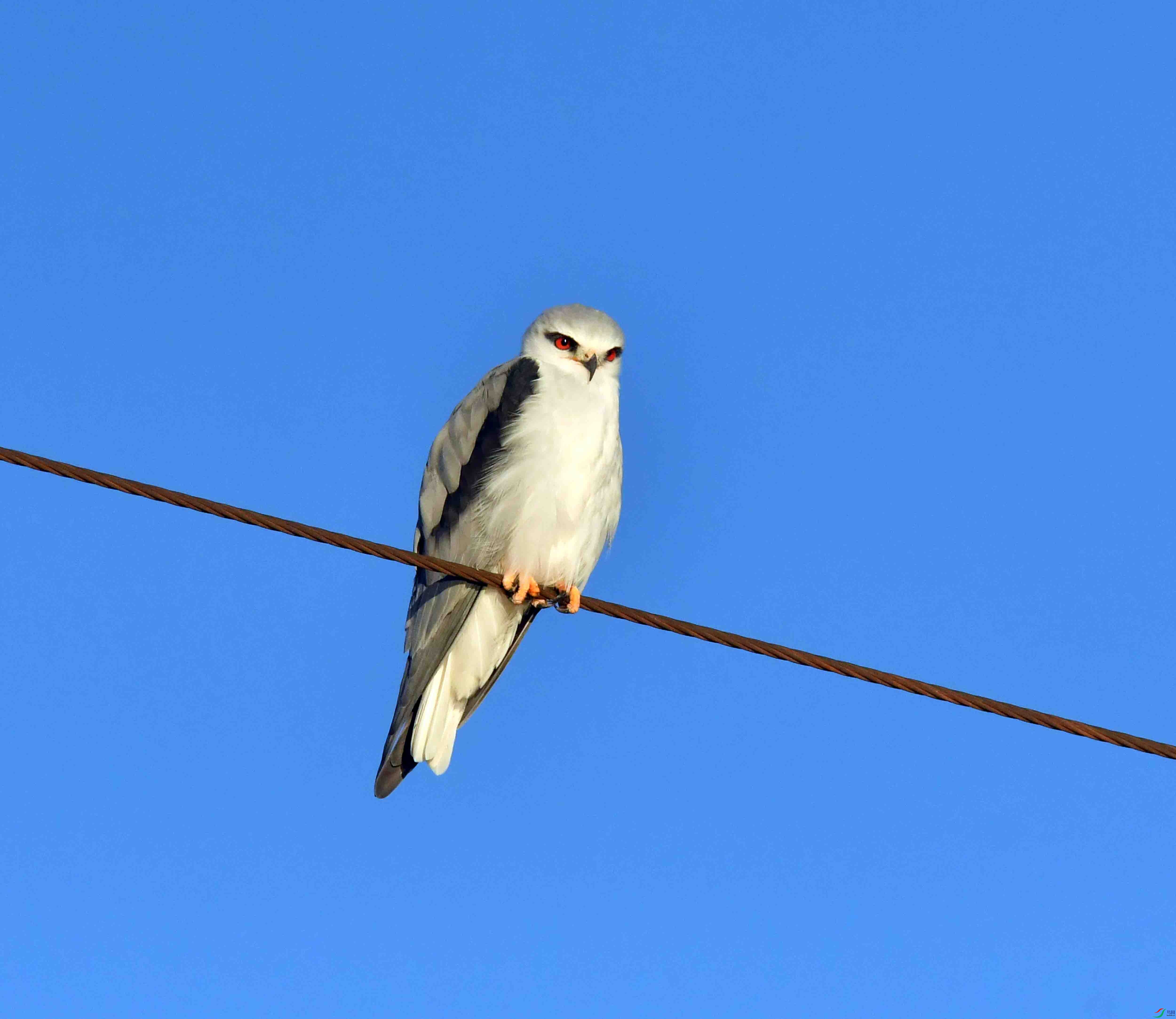 DSC_2308.JPG