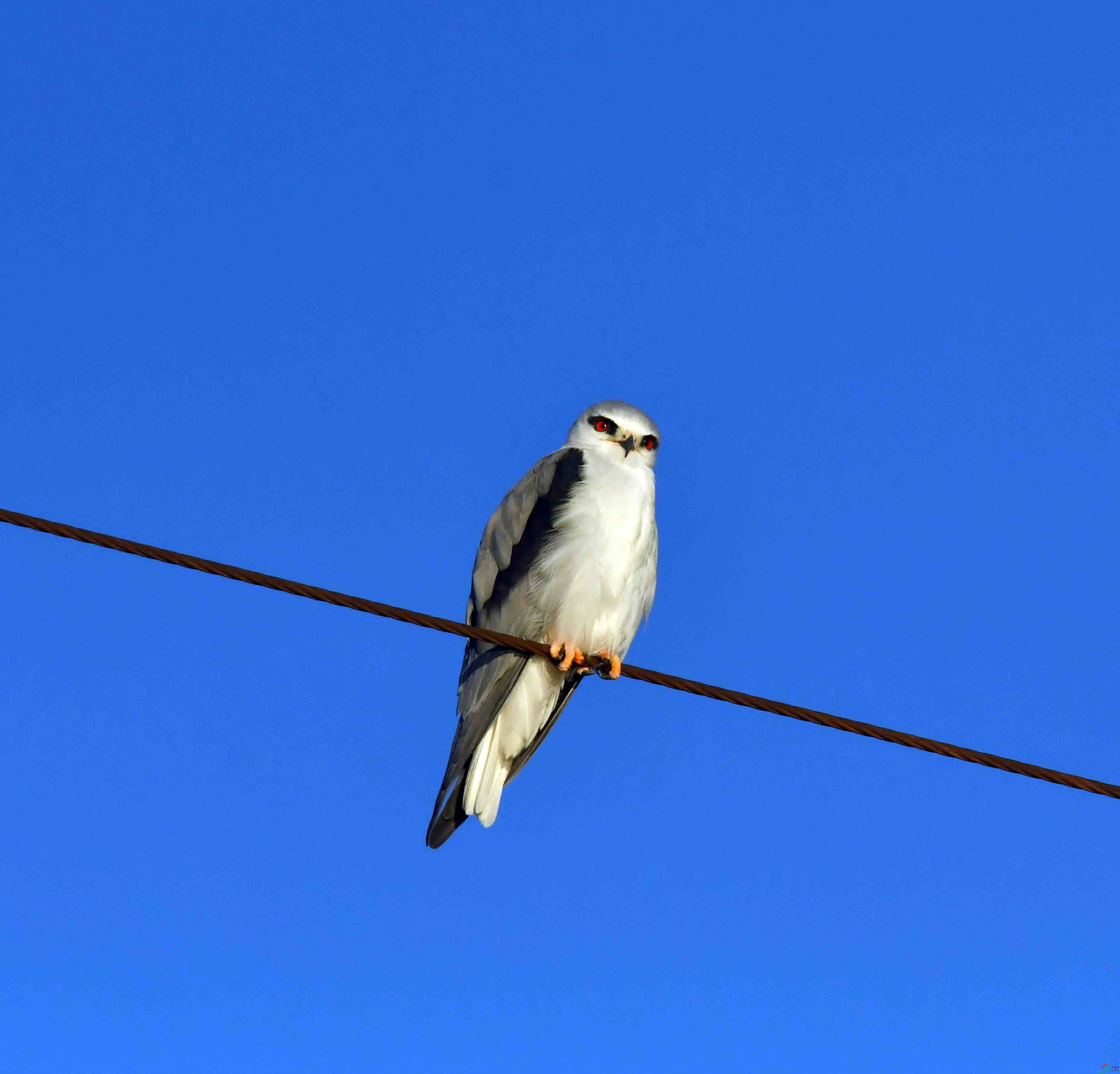 DSC_2319.JPG