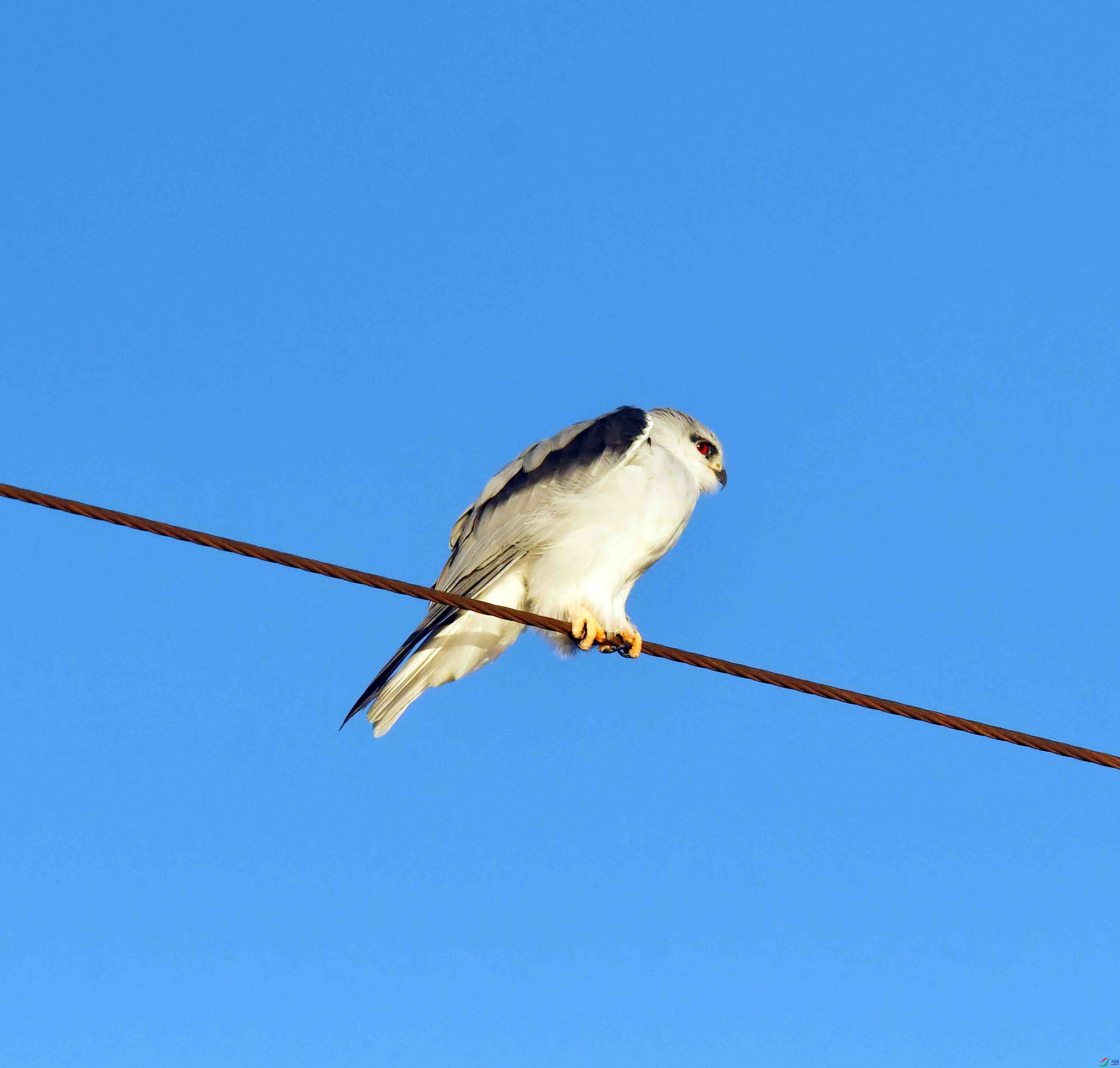 DSC_2341.JPG