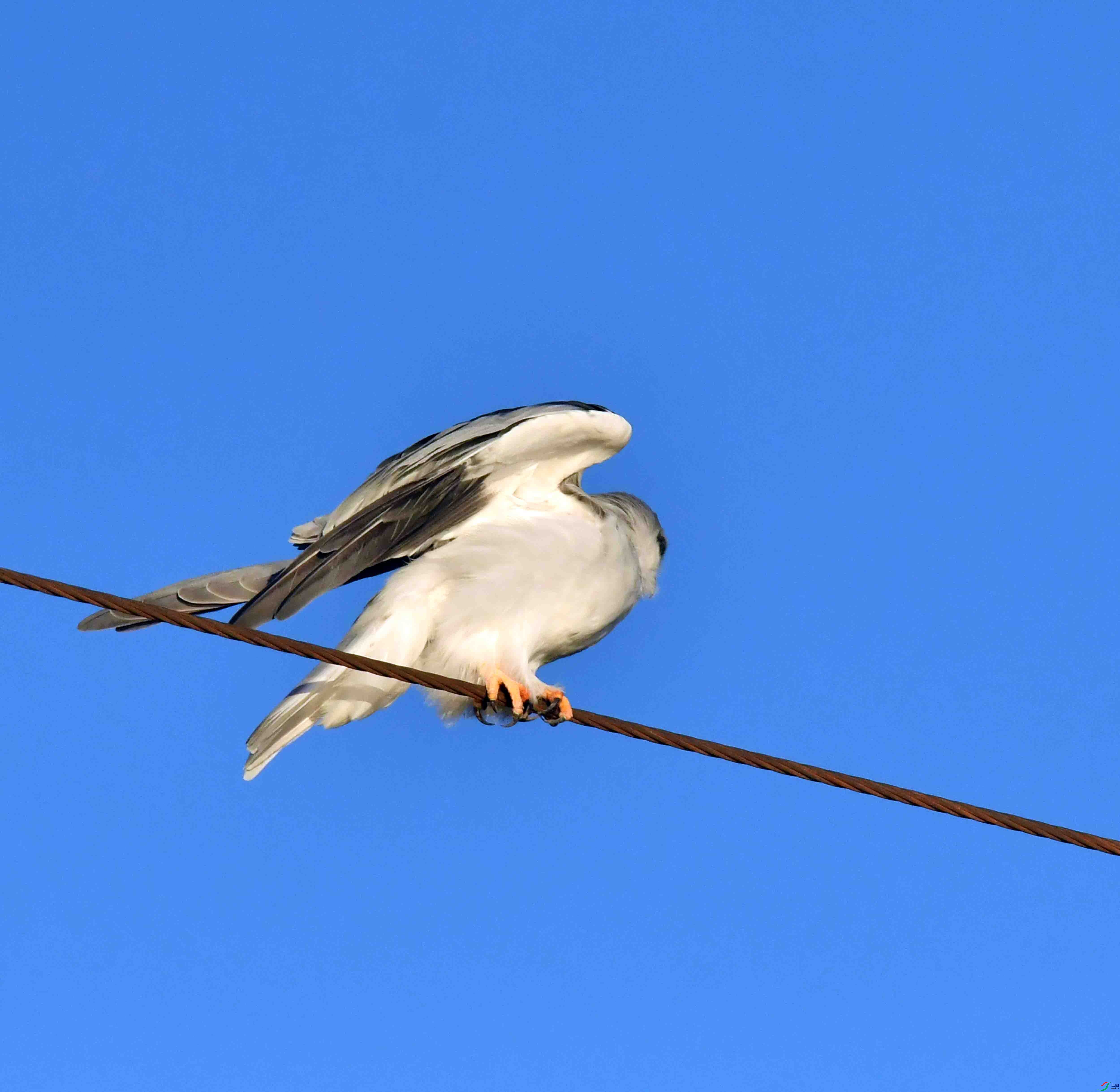 DSC_2342.JPG