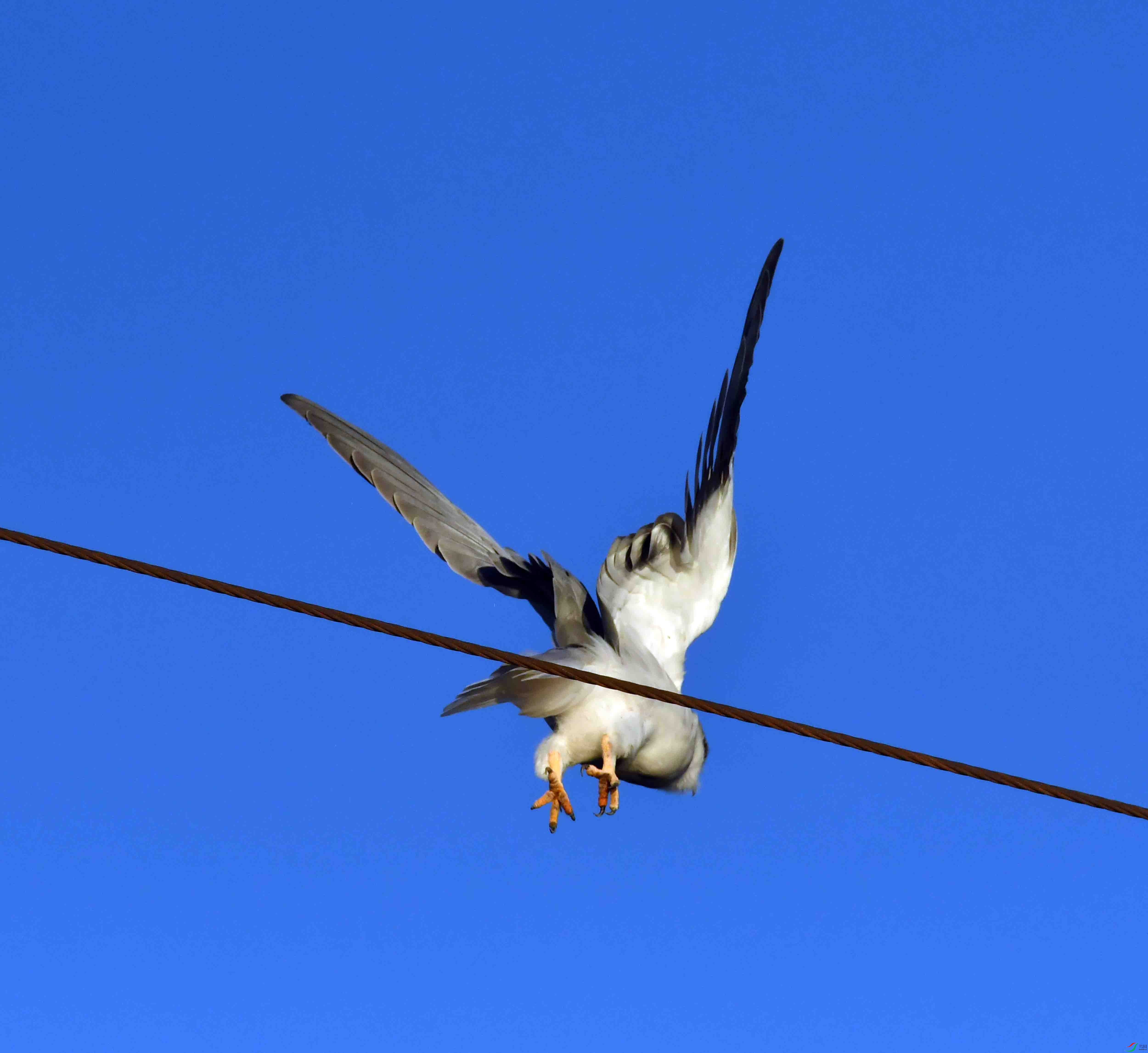 DSC_2343.JPG