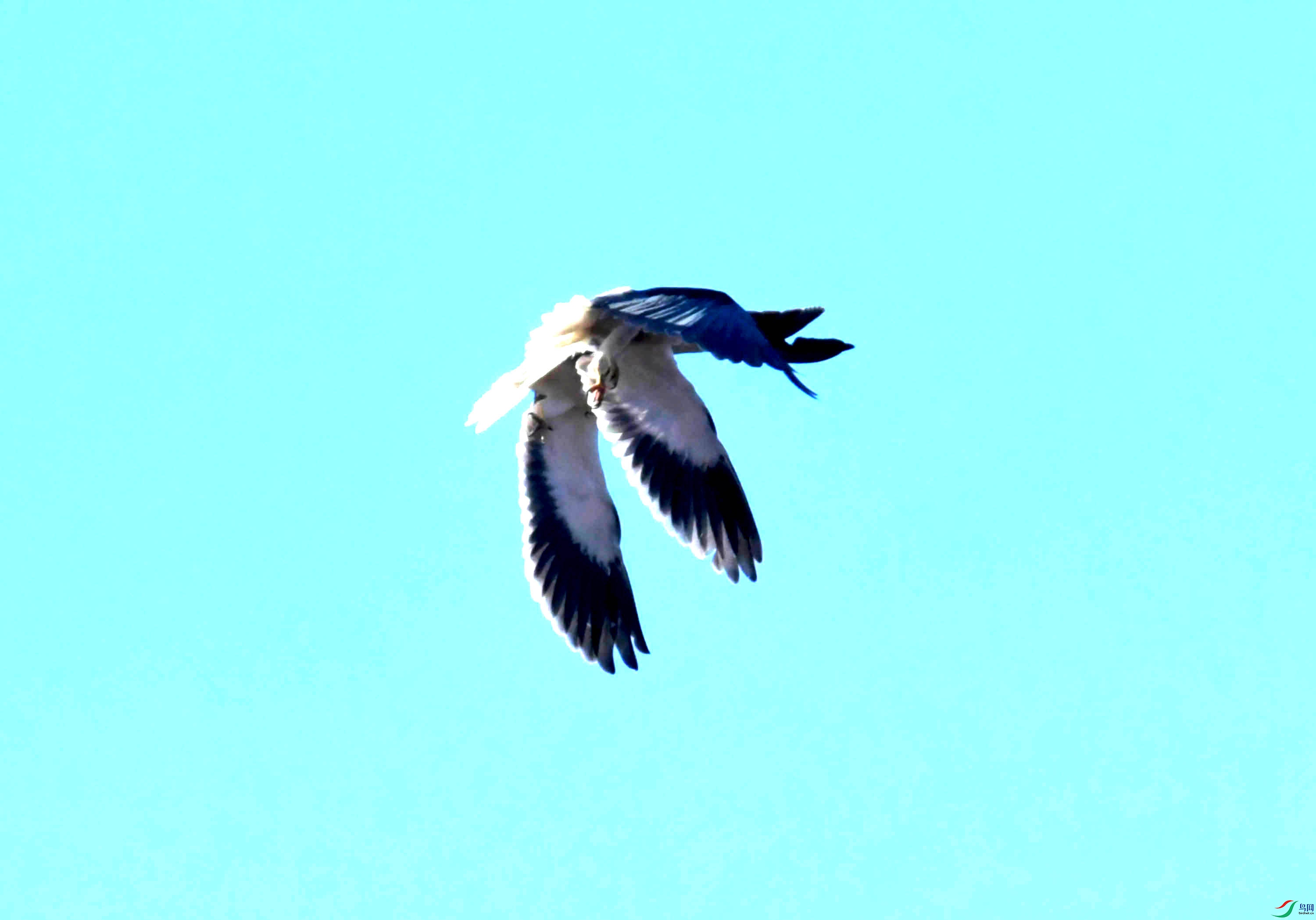 DSC_7281.JPG