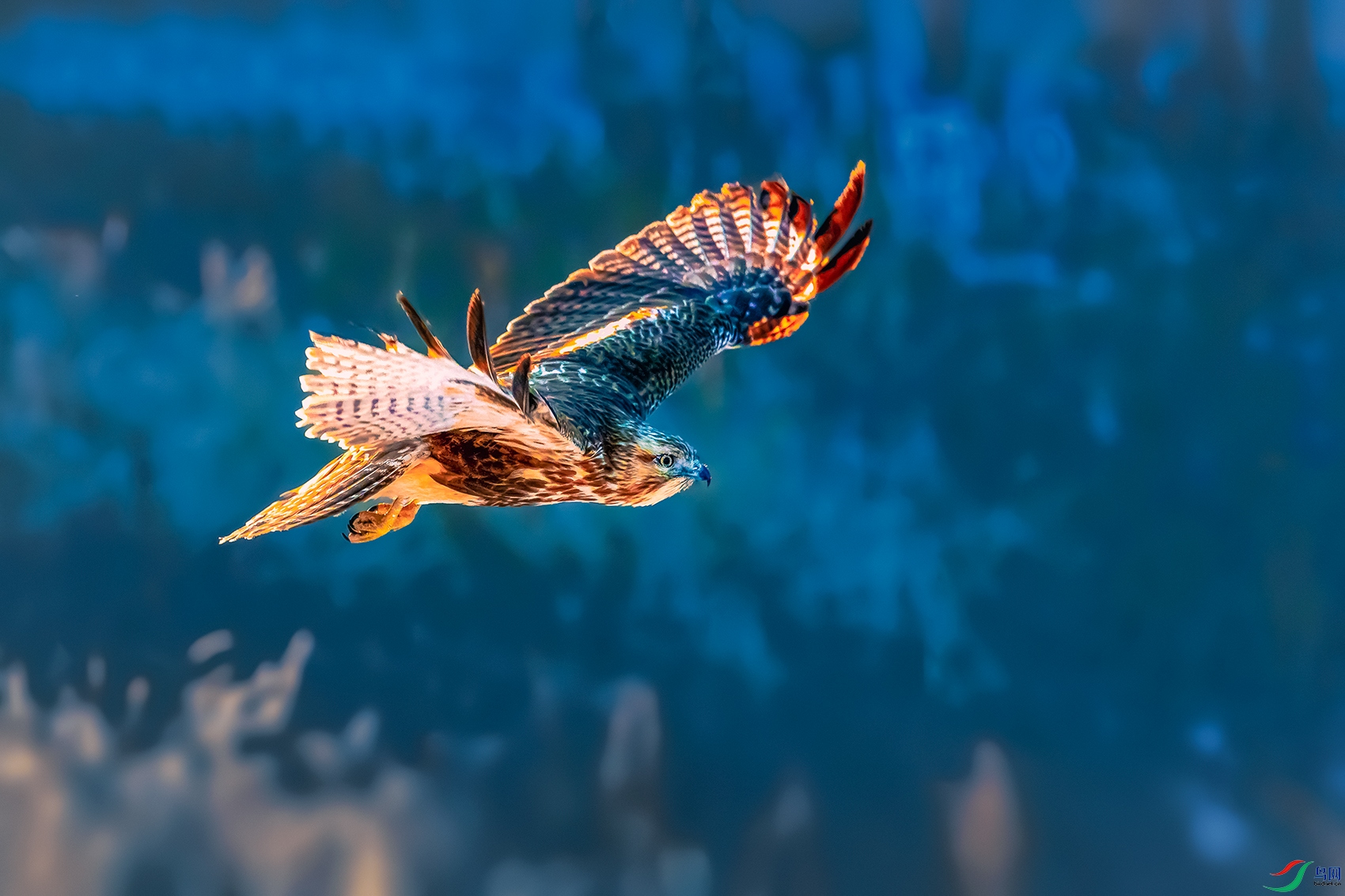 ���\----ѩɽ����