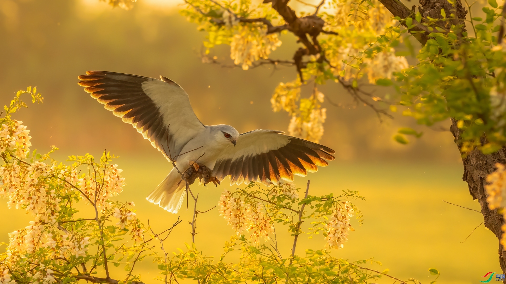 ���Թ��� ���� �Ű� ����.jpg