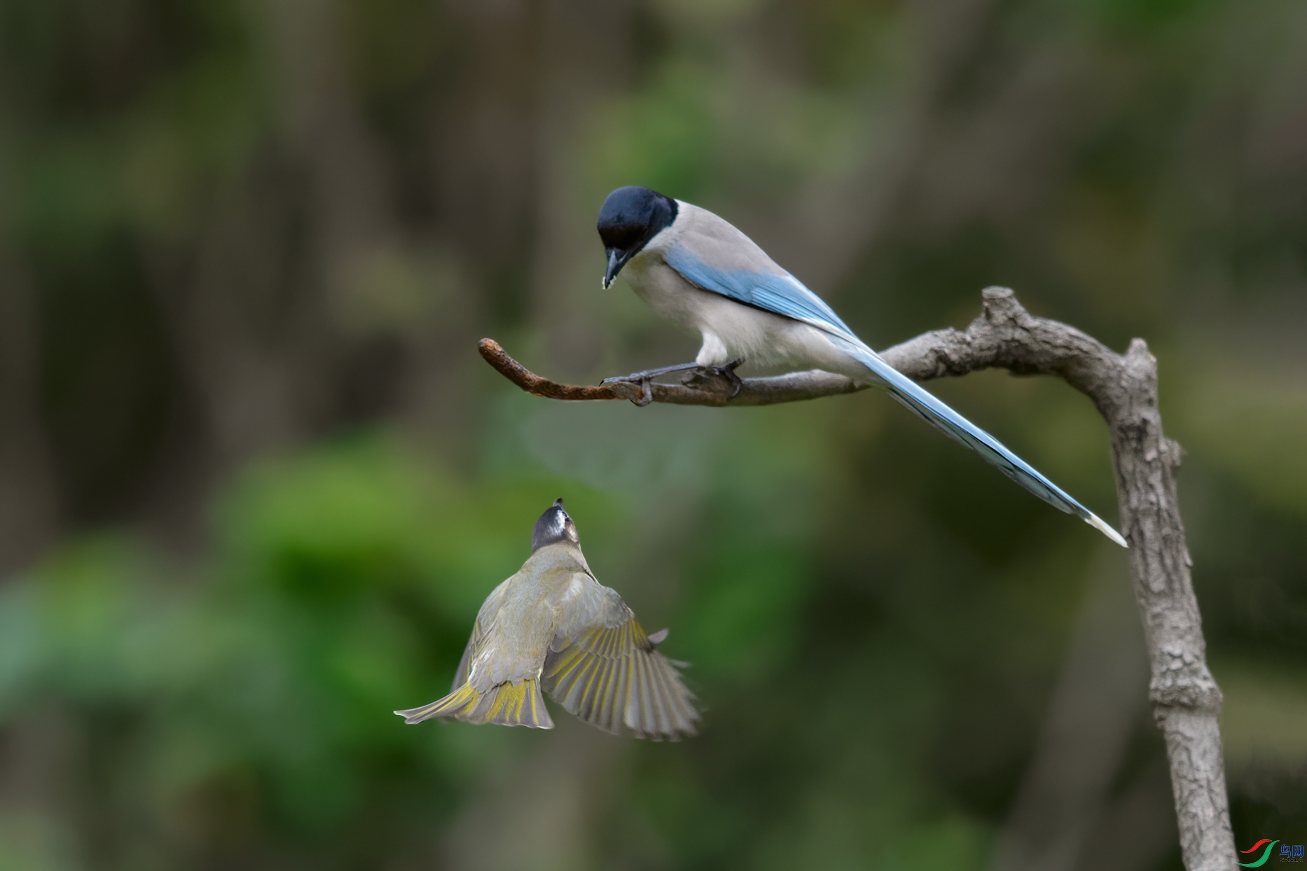 DSC_8904_DxOa.jpg