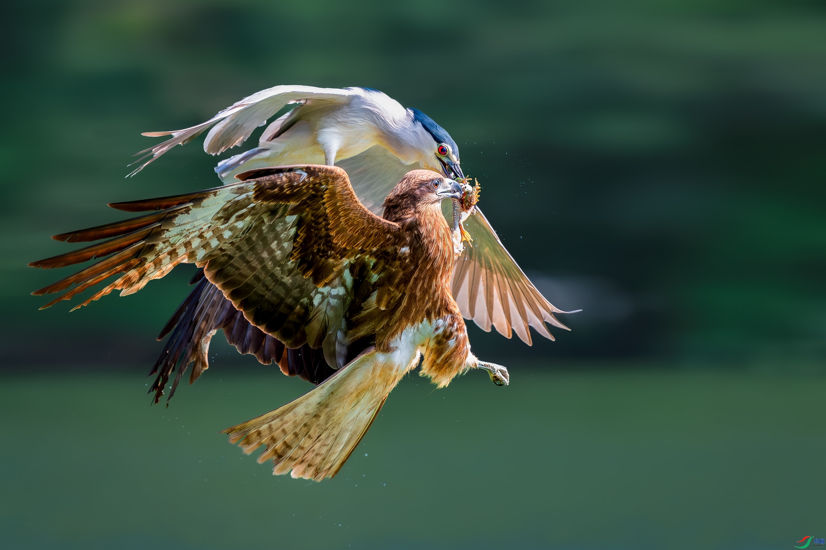 �Ͼ� ���� ����Ӱ ����.jpg