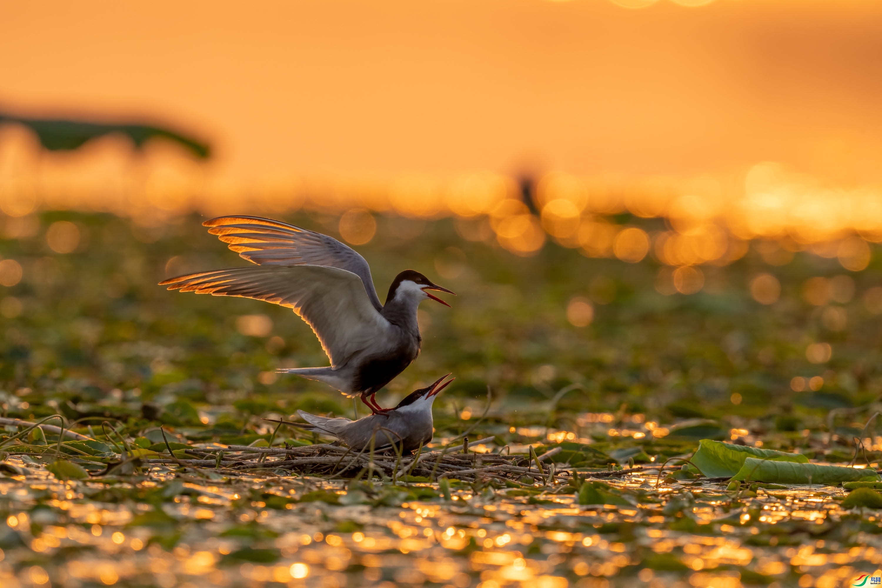 ��ԼϦ���� ���� ���� ����.jpg