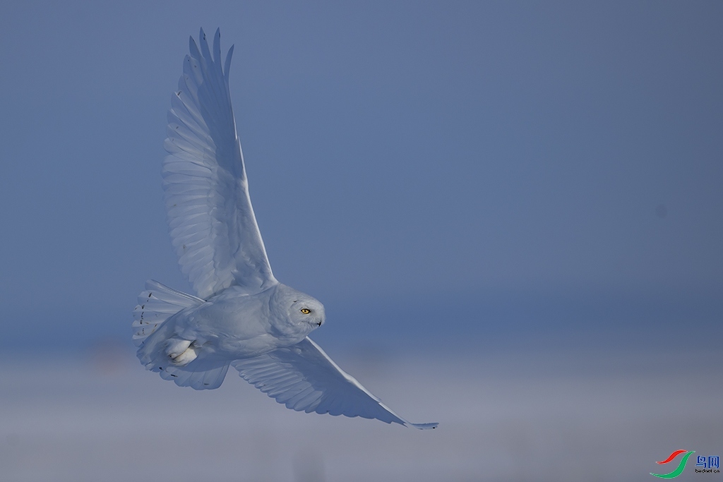 ����  ���� ���ַ� ����.jpg