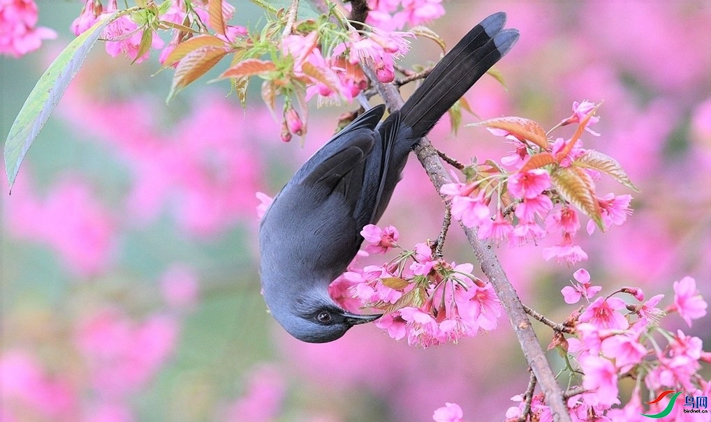 ���ⰻȻ ���� ���� ����.jpg