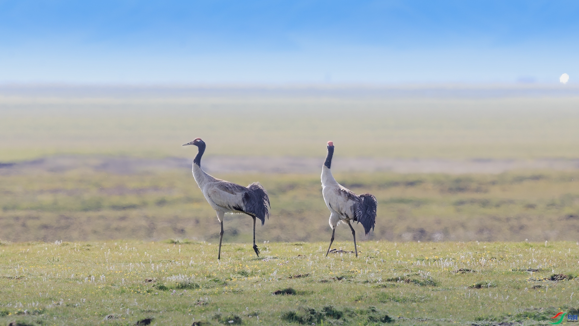 �ھ��� ���� ��ͥ�Ų�yes  ����.jpg