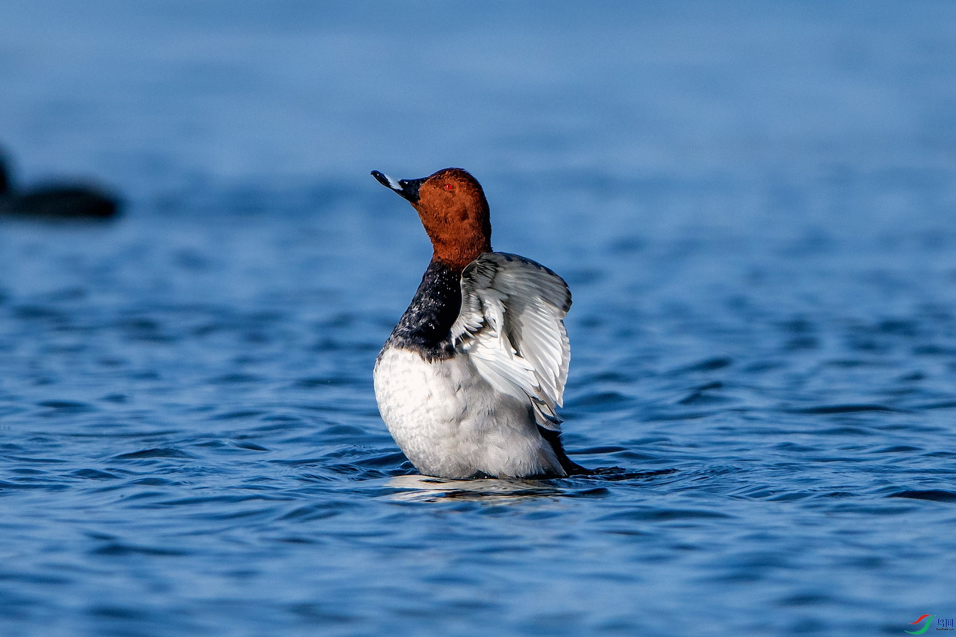 ��_AUU9703����ͷǱѼ(23.12.4)-1.jpg