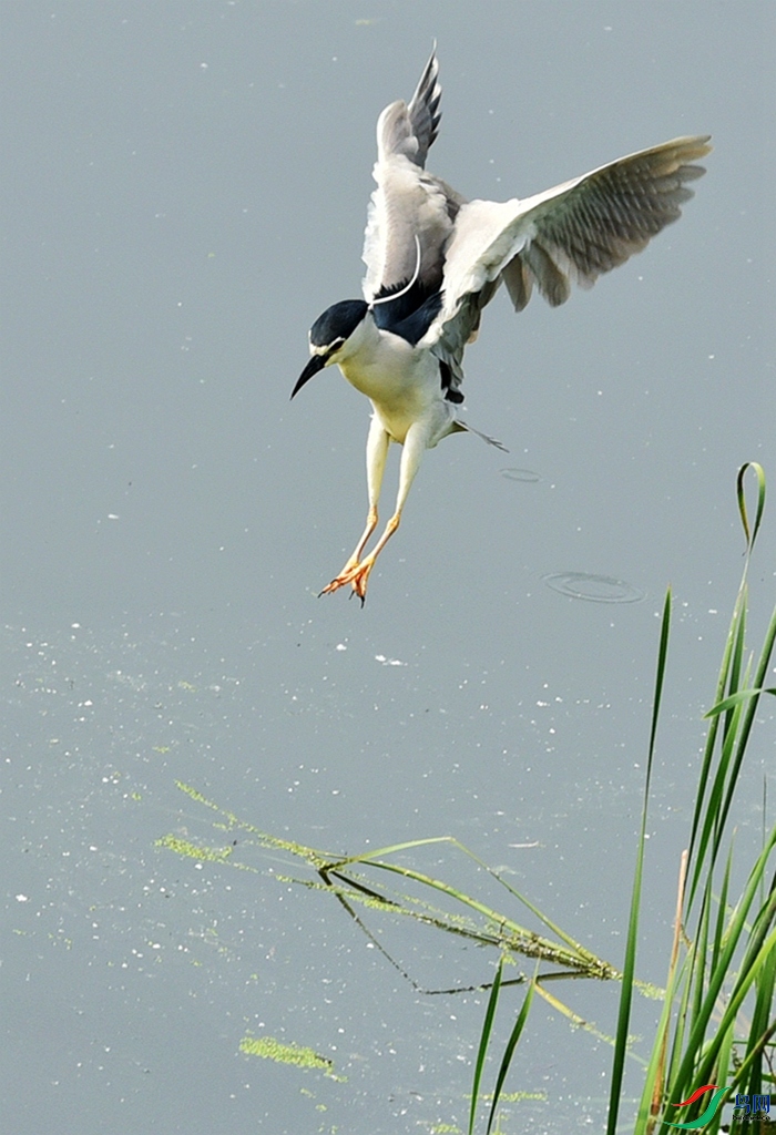 876 (32)_����_����.jpg