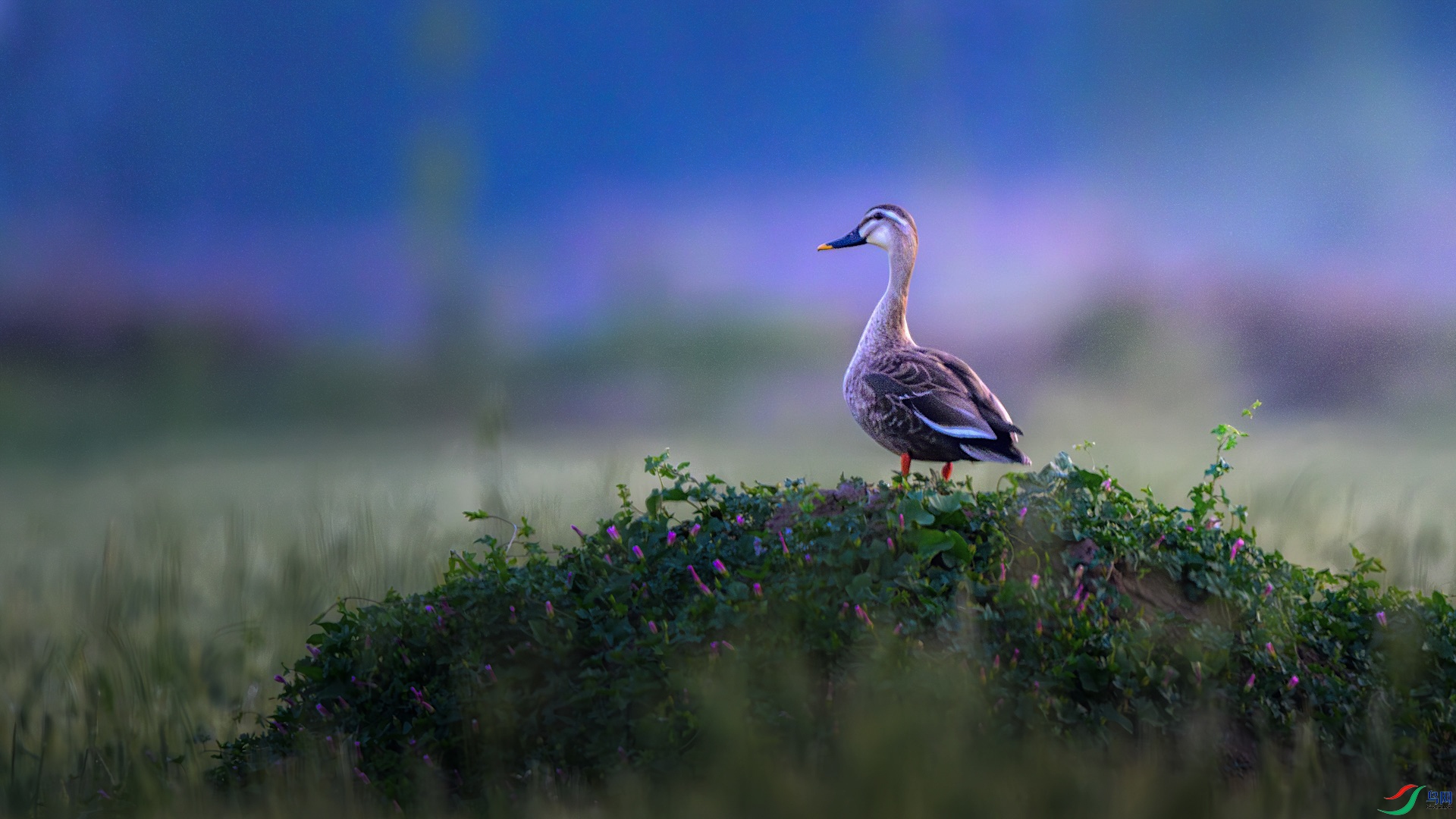 1_XXL0966-����ǿ-NR ���� 2.jpg