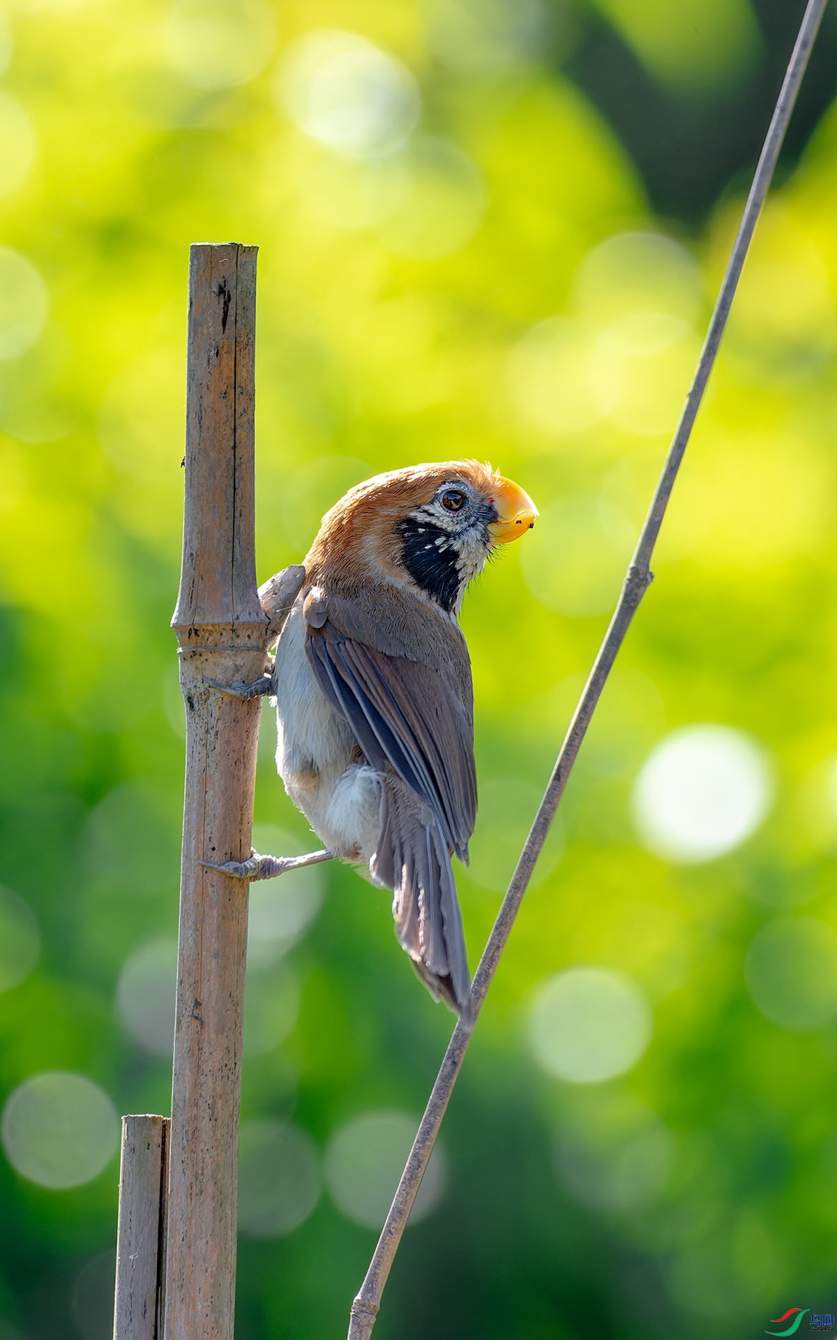 DSC_6534.jpg