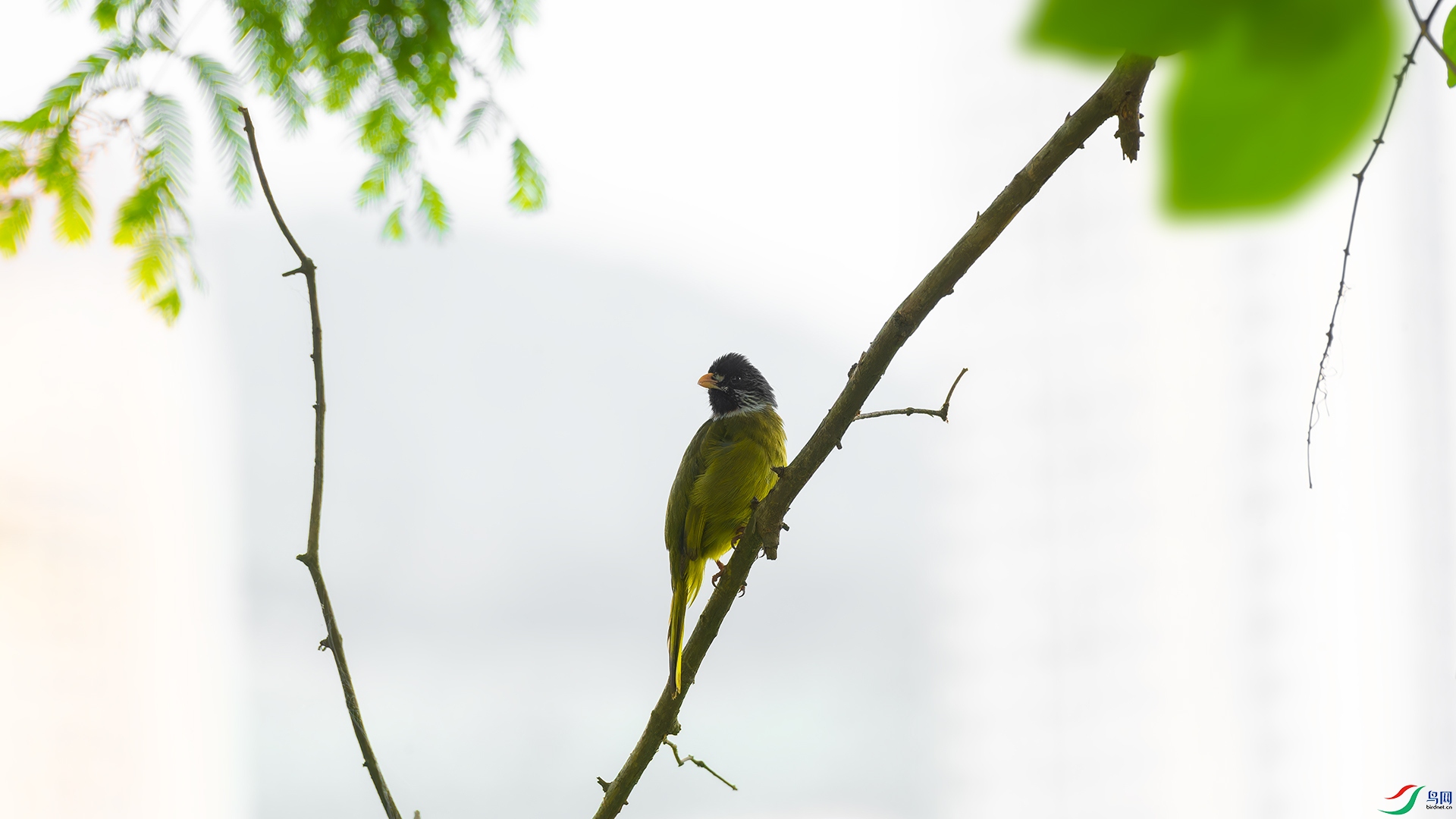 DSC_4996.jpg