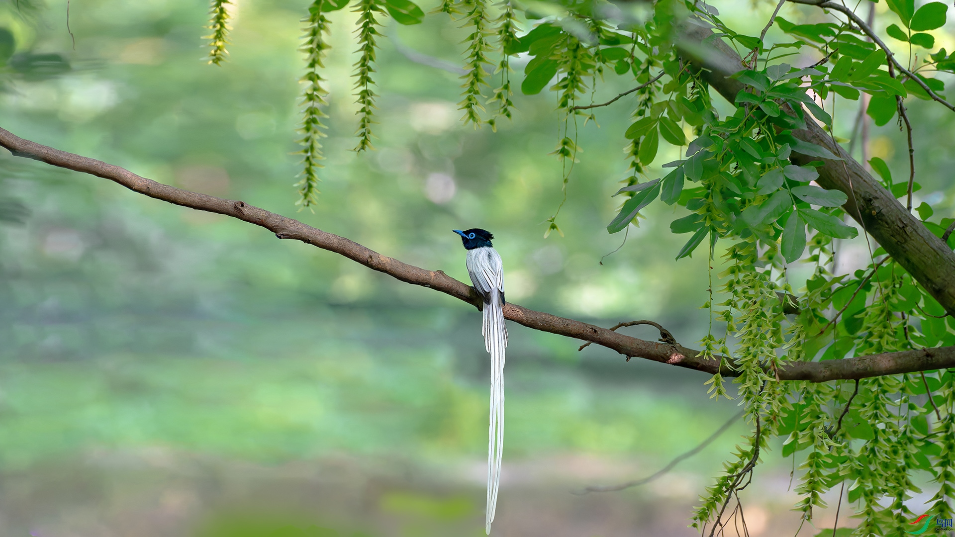 DSC_6973.jpg