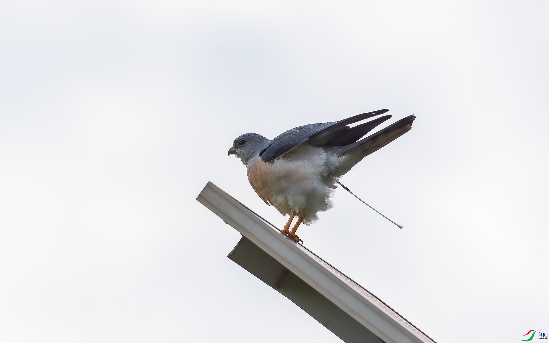 DSC_4899.jpg