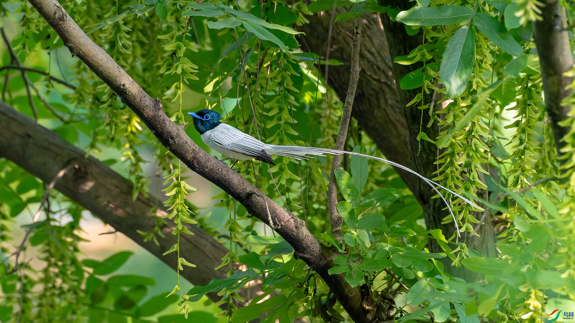 DSC_6964.jpg