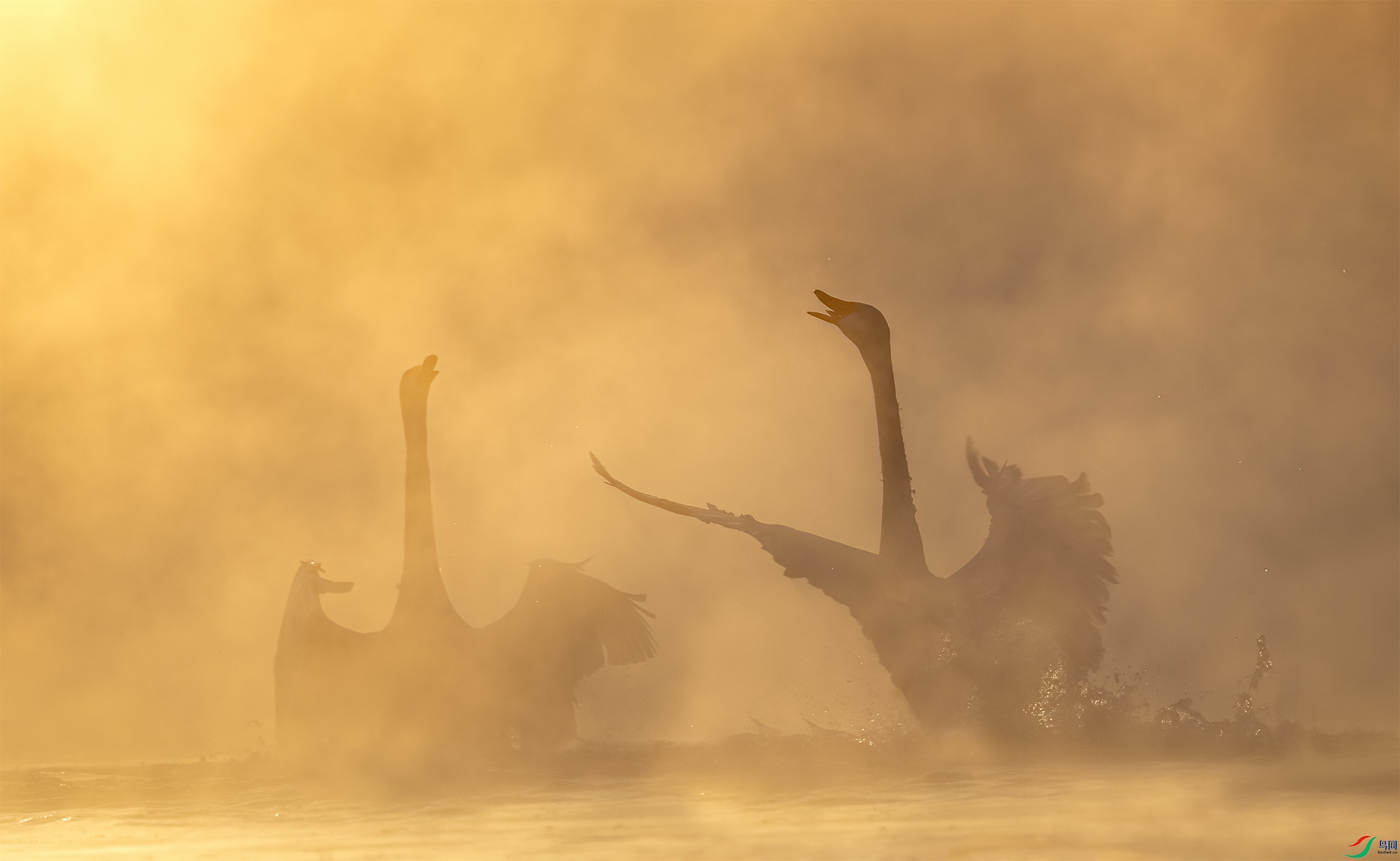 AC3I2577 ����.jpg