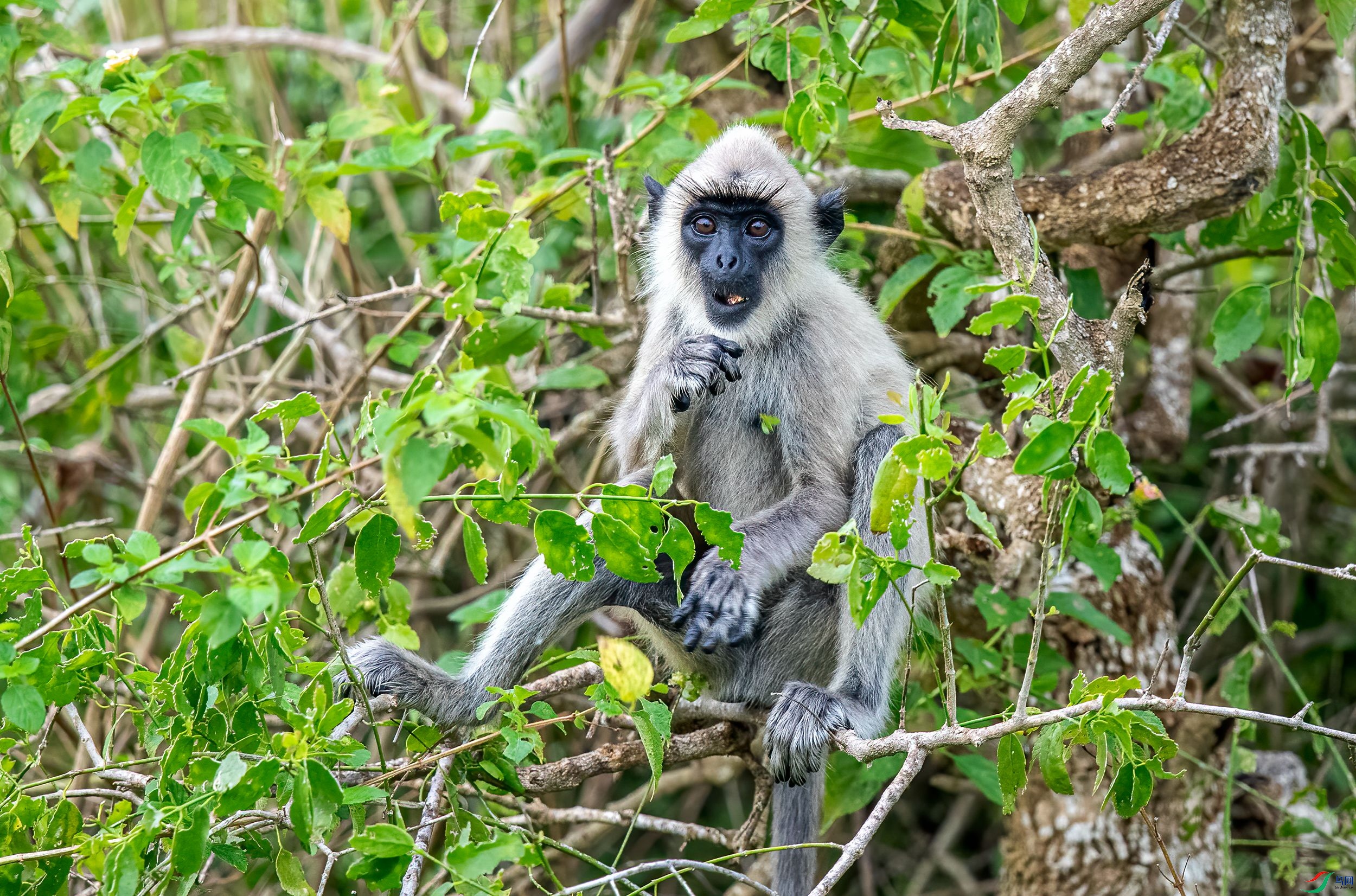 AC3I5329 ����_����.jpg