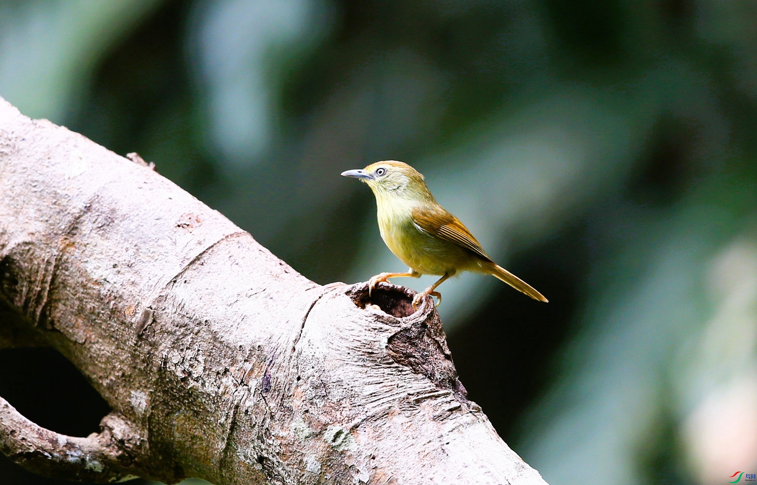 ���ؾ��� (1).JPG