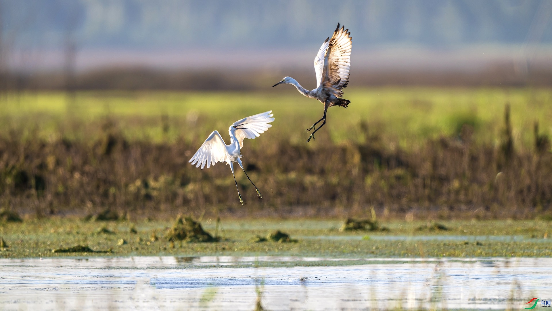 1DSC_1226 ����.jpeg