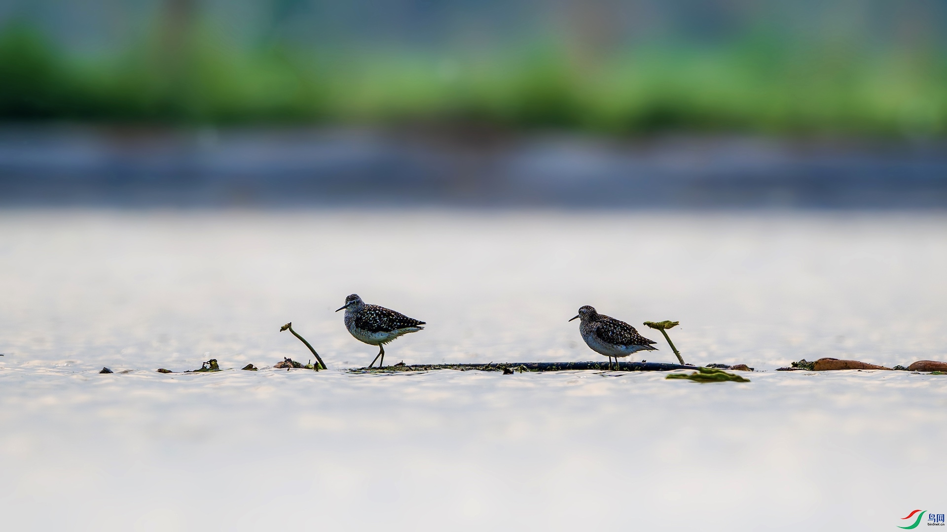 4_XXL6664-����ǿ-NR ����.jpeg