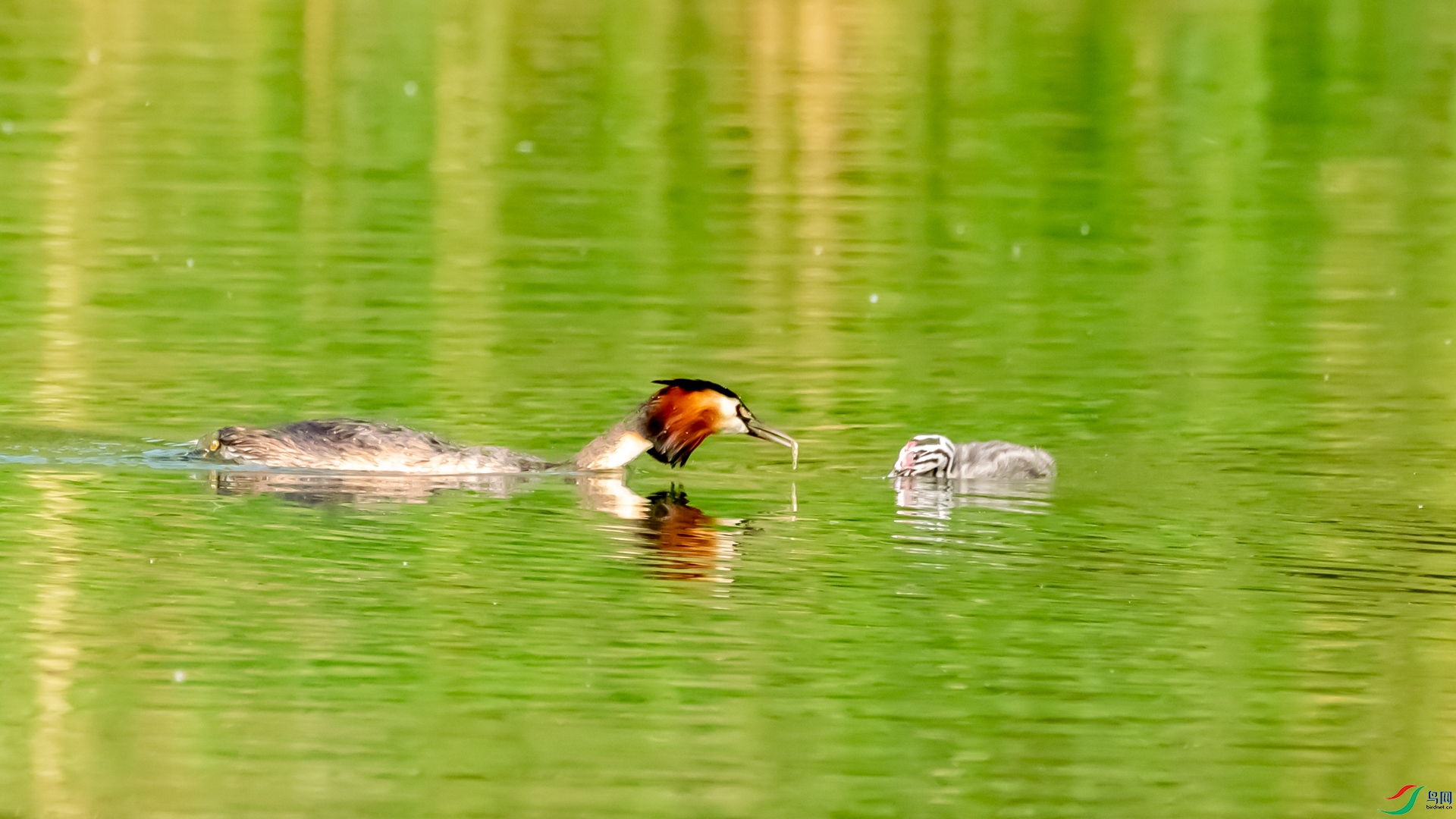 _DSC9902.jpg