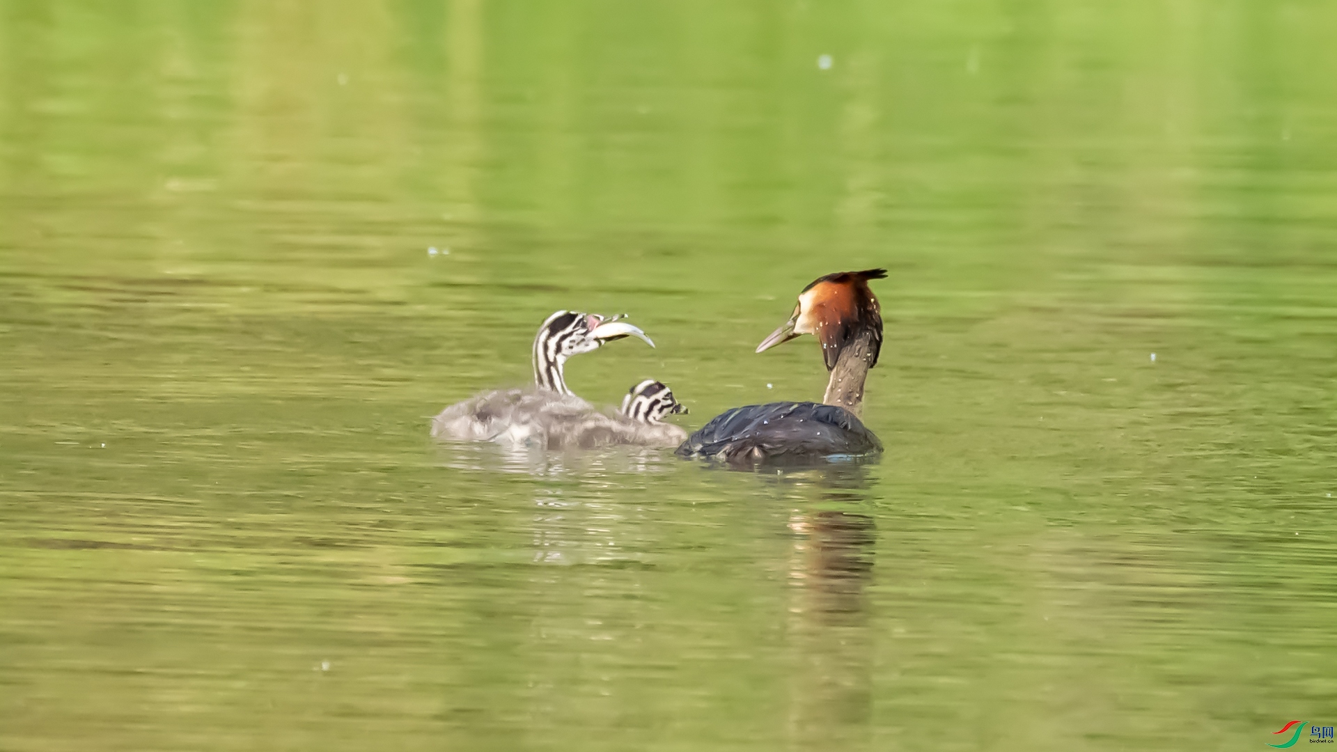 _DSC9860_1.jpg