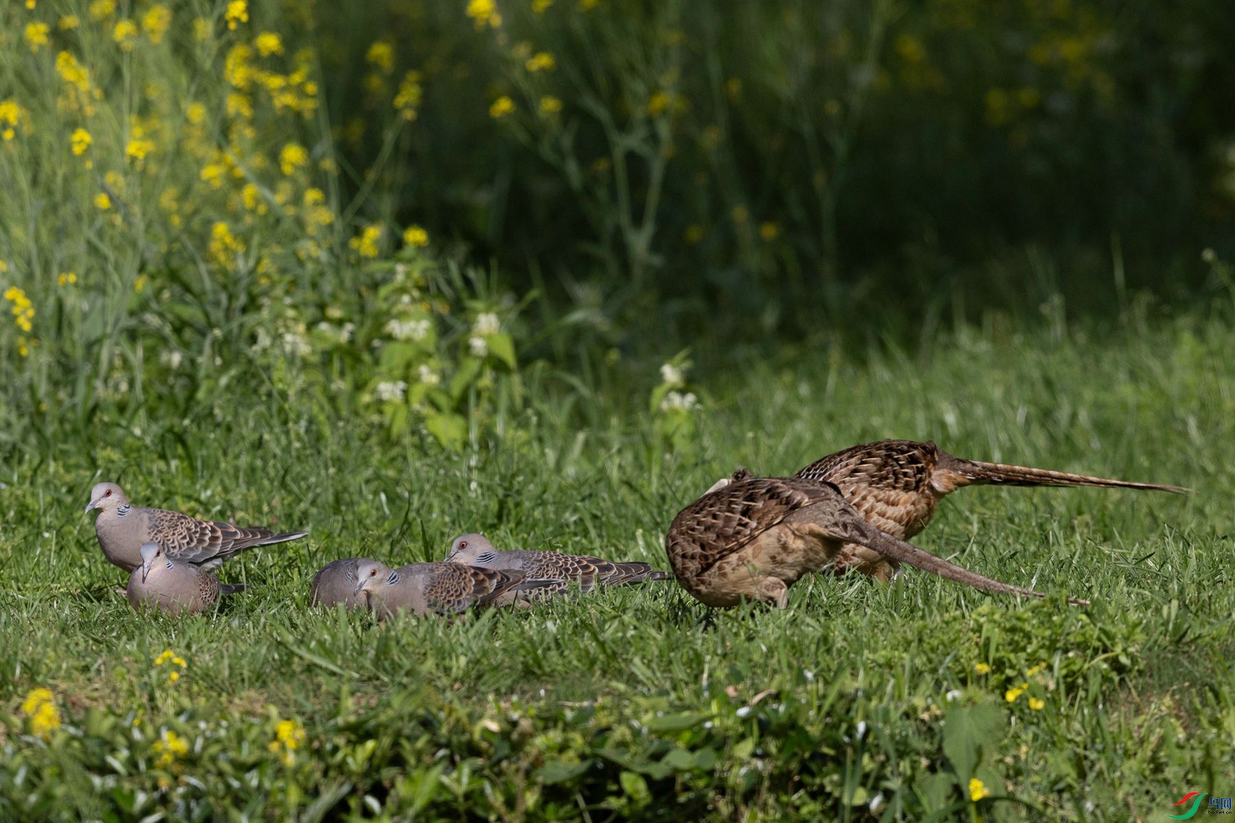 ��̬����1