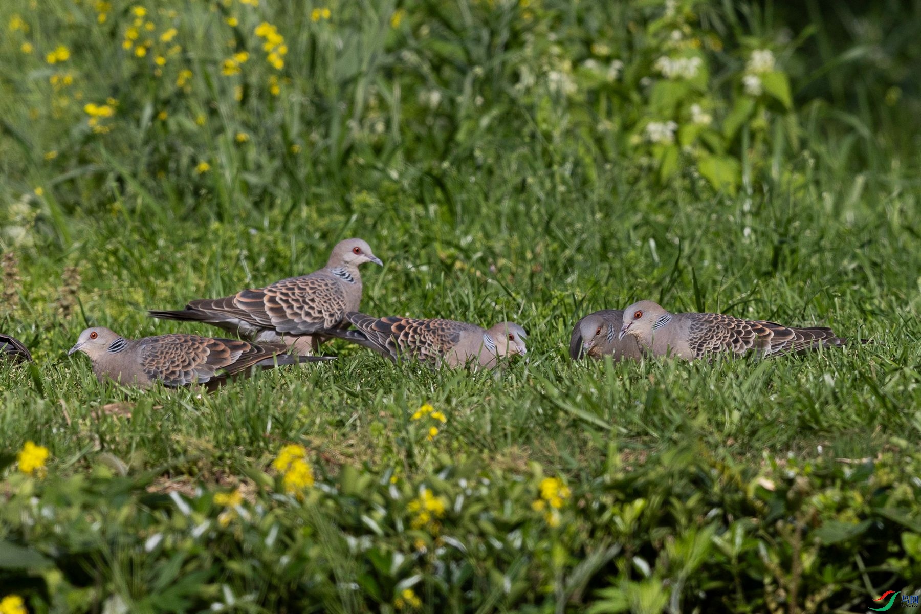 ��̬����4