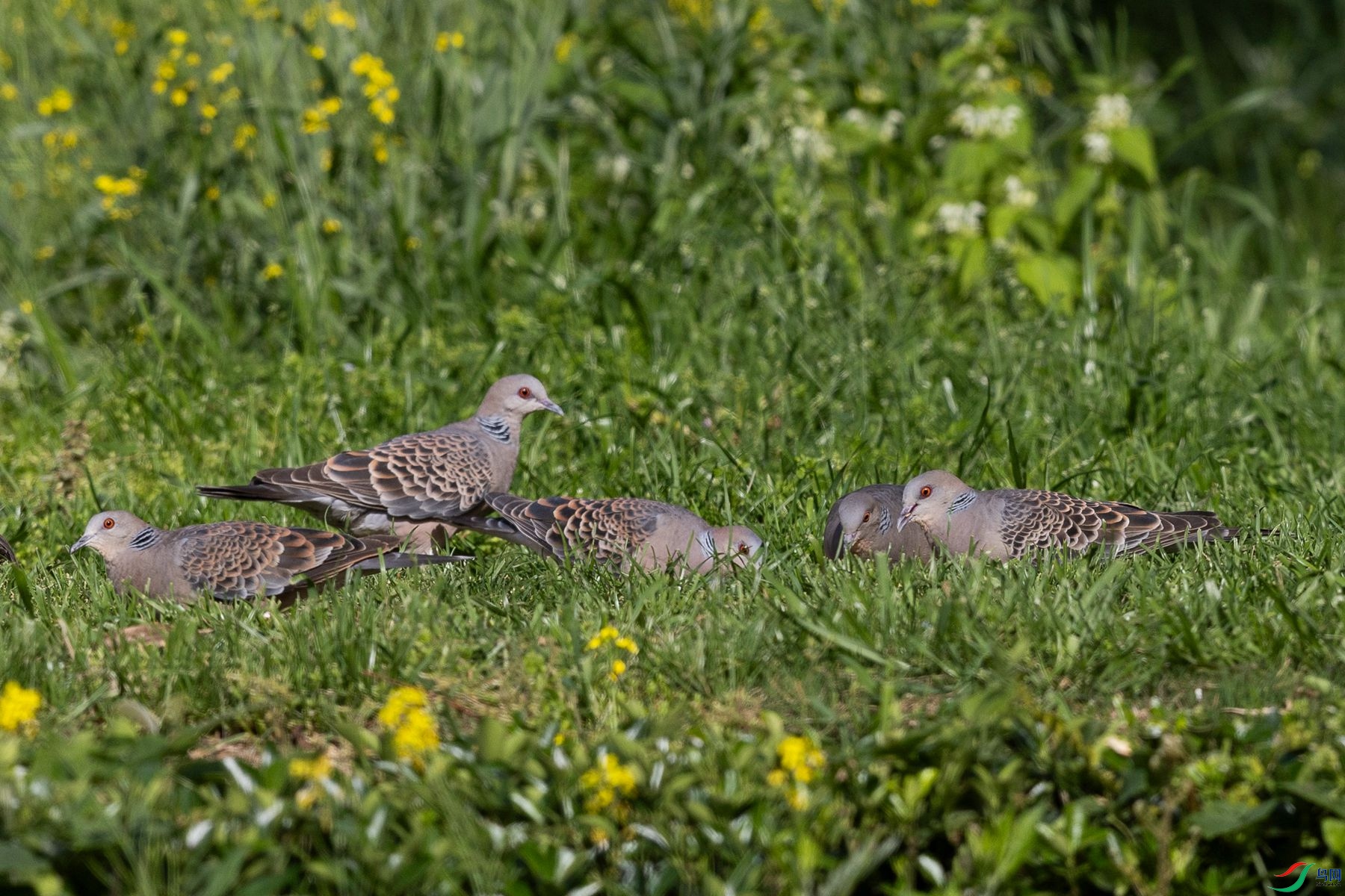 ��̬����5