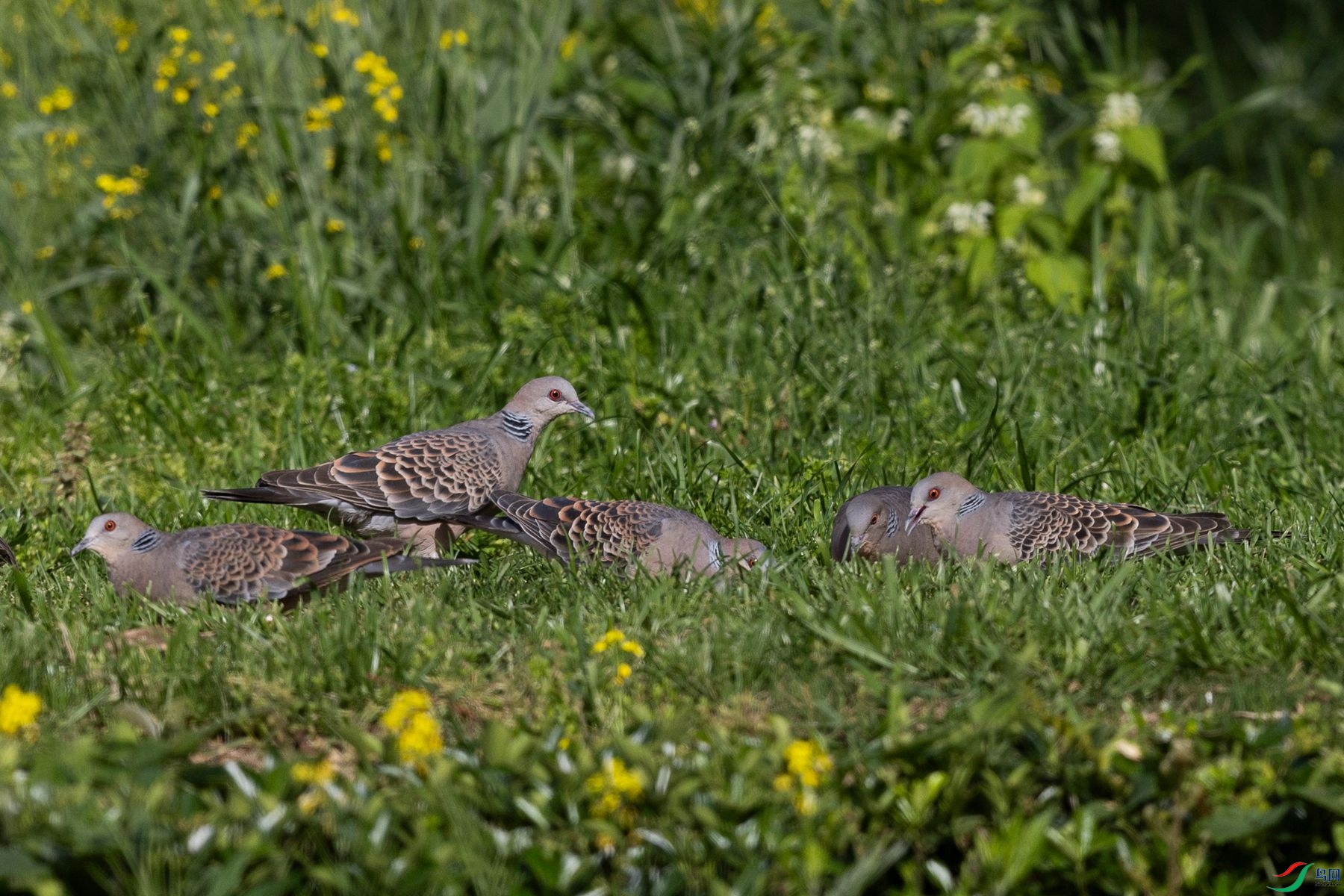 ��̬����6