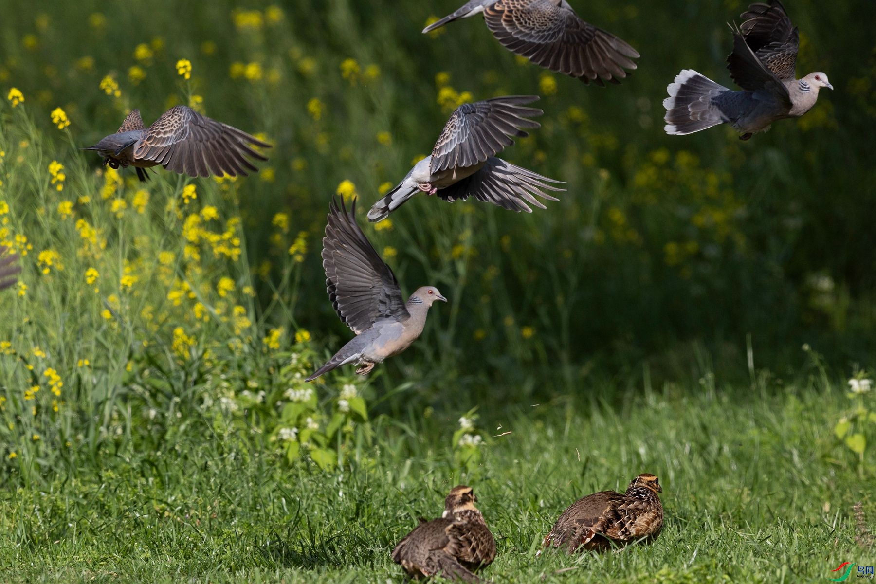 ��̬����9