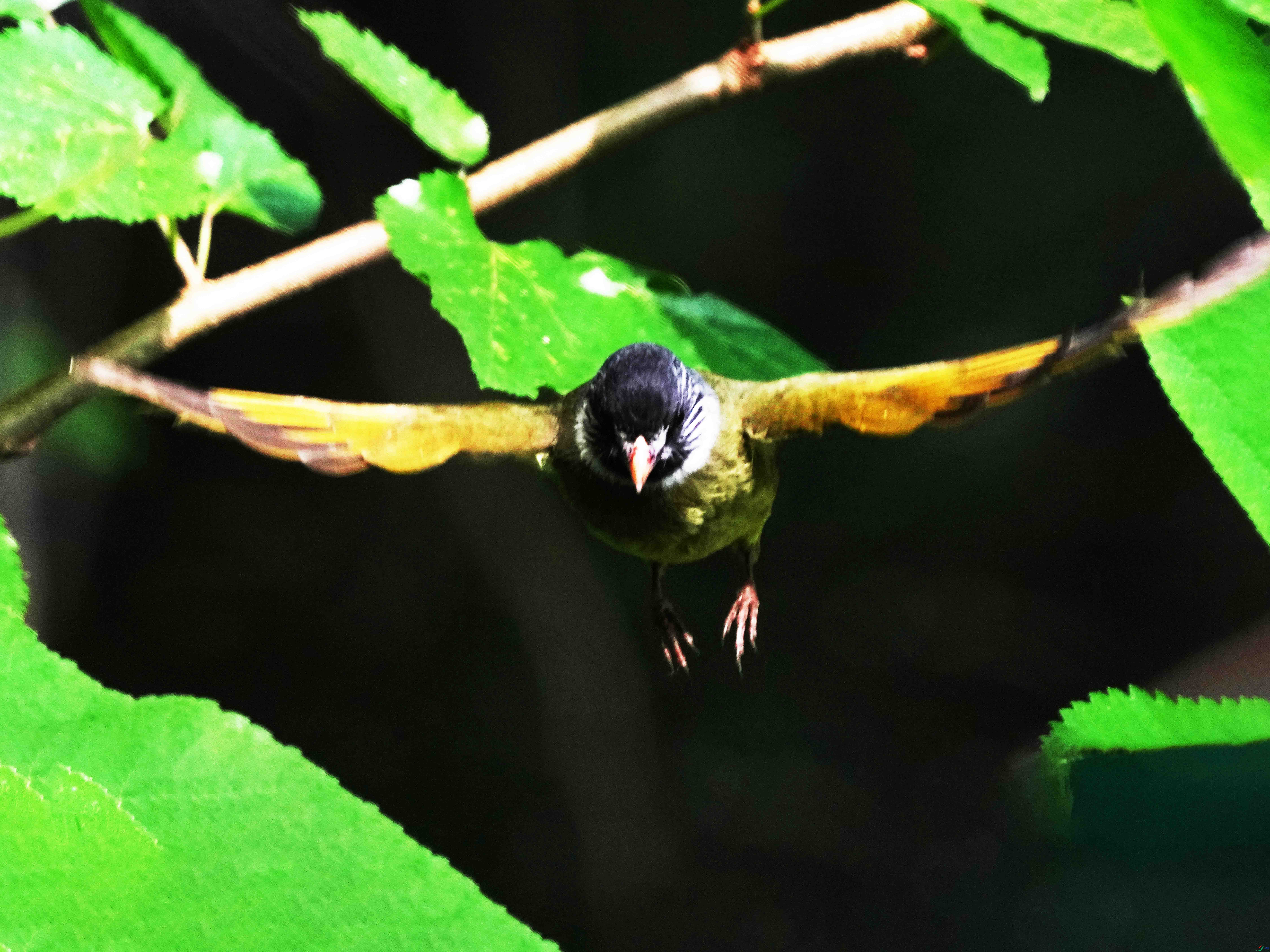 05DSC08900 ���� 2.jpg