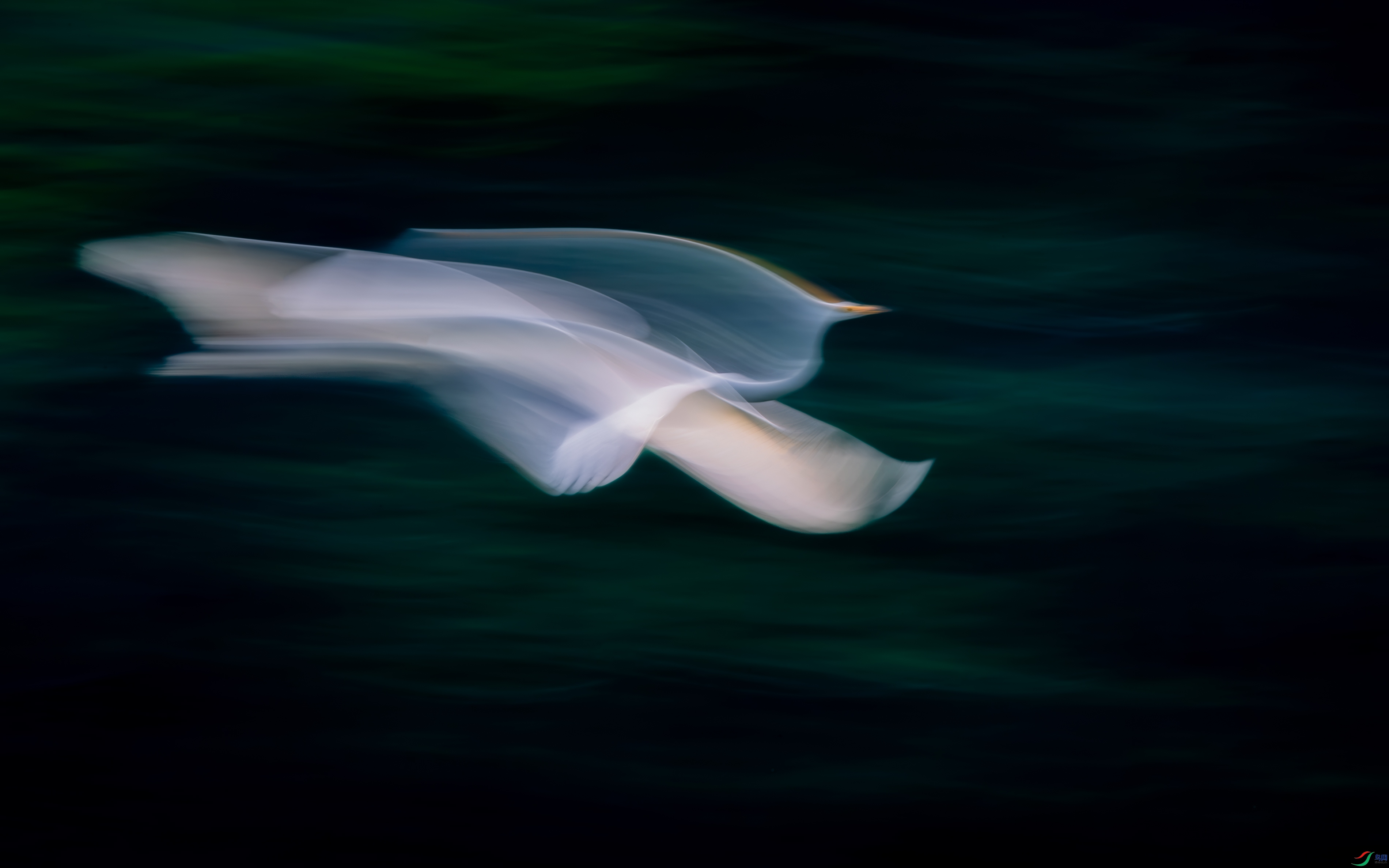 DSC_5468-����ǿ-NR ����.jpg