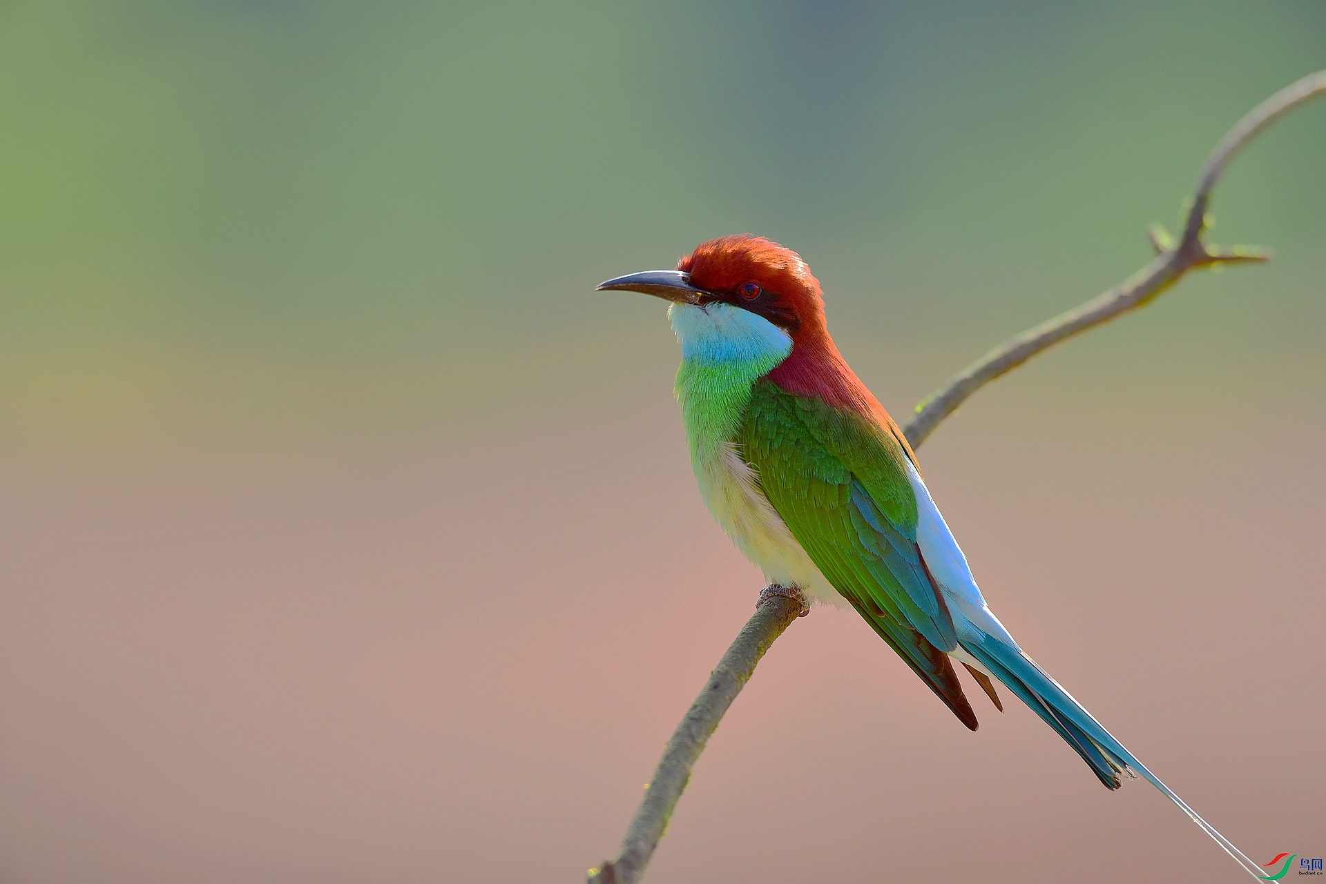 D8I_7560.jpg