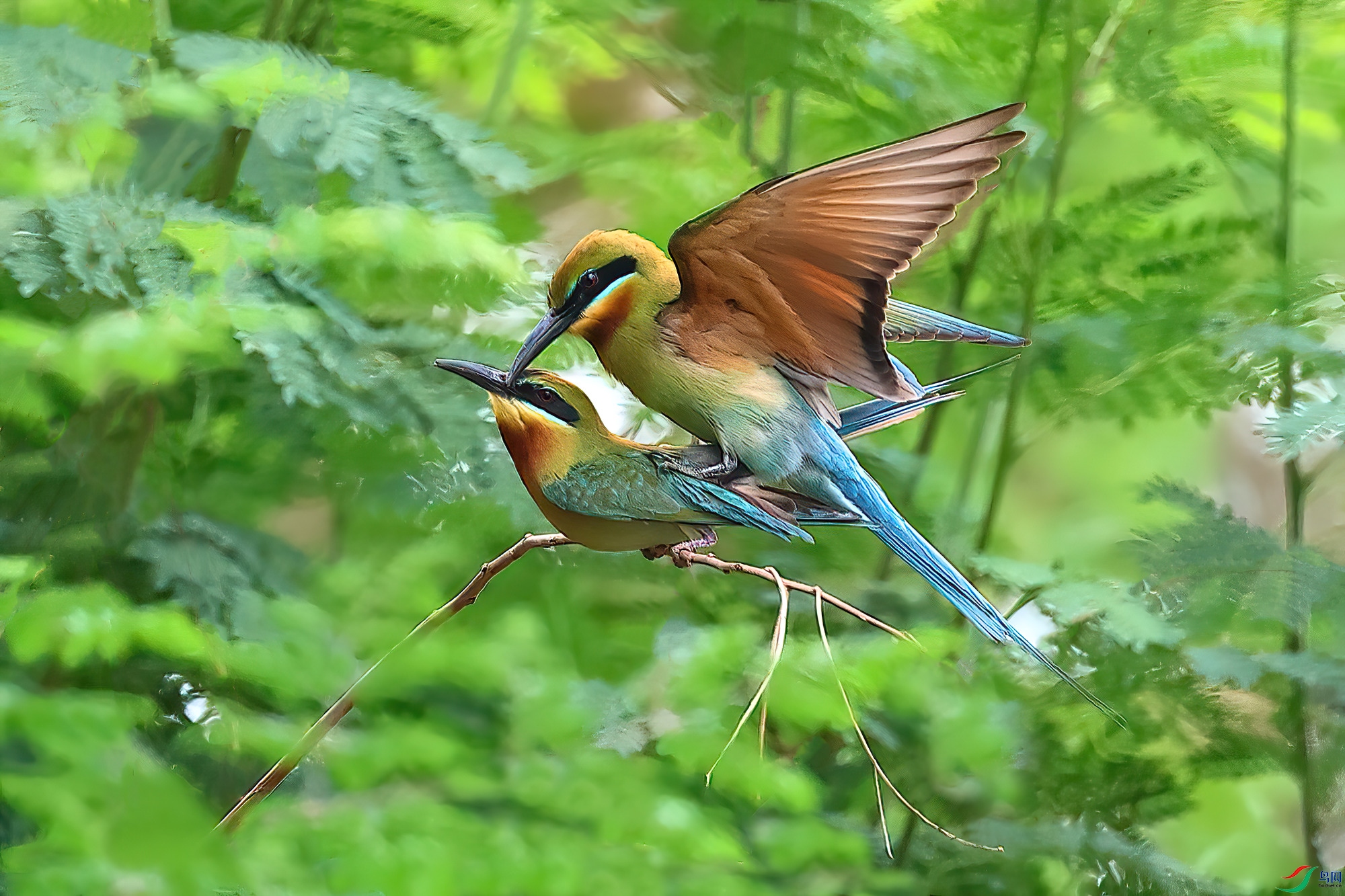 �����ж�