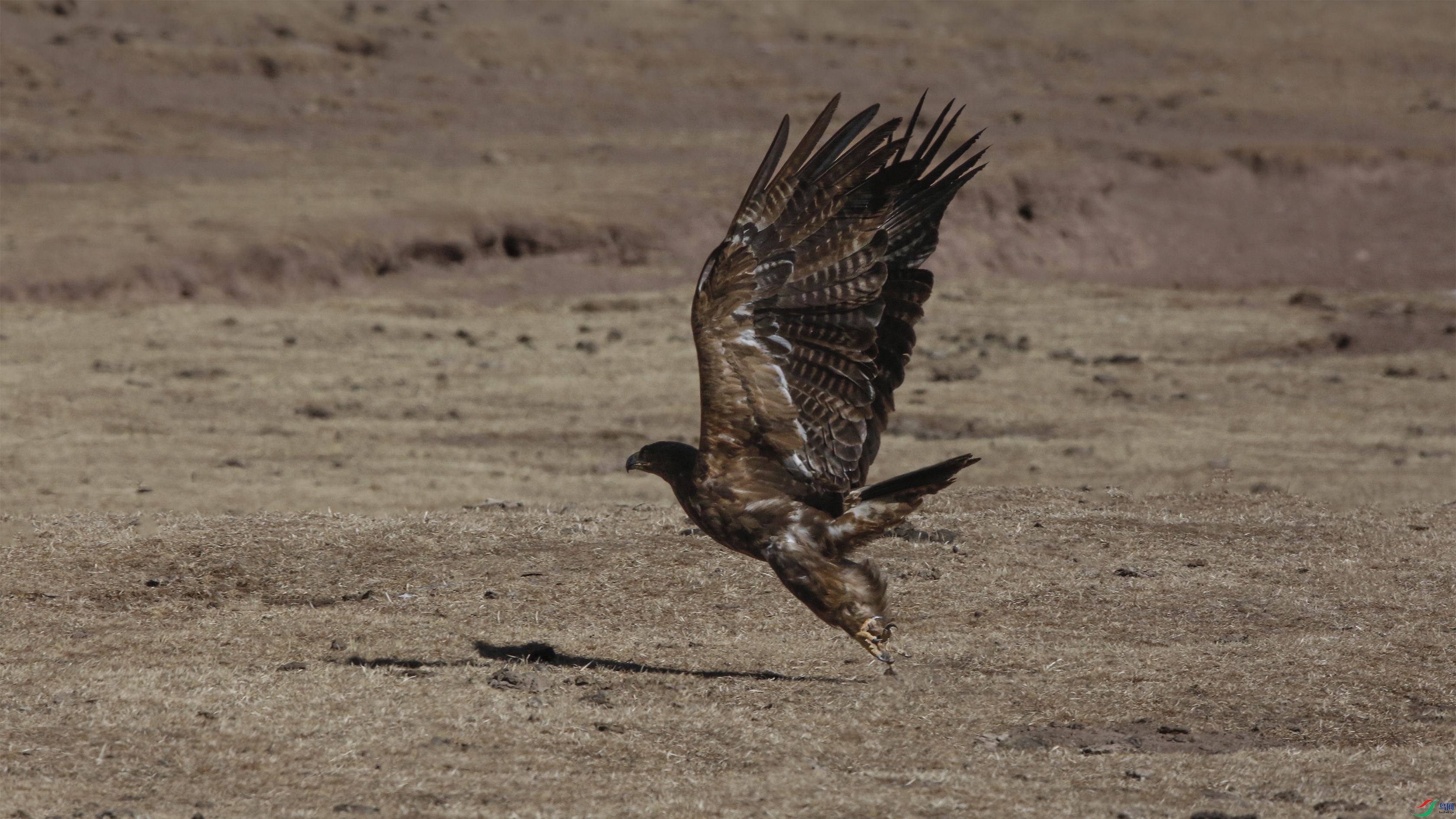 _39A0336-ԭͼ ����.jpg