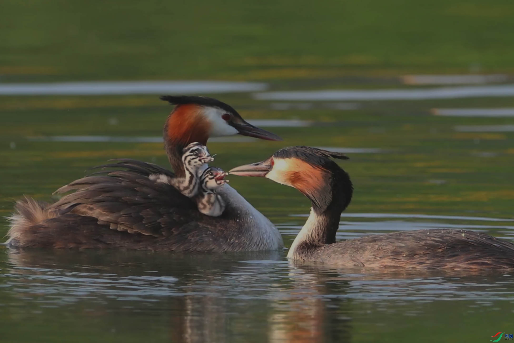 5��20�� ����.jpg