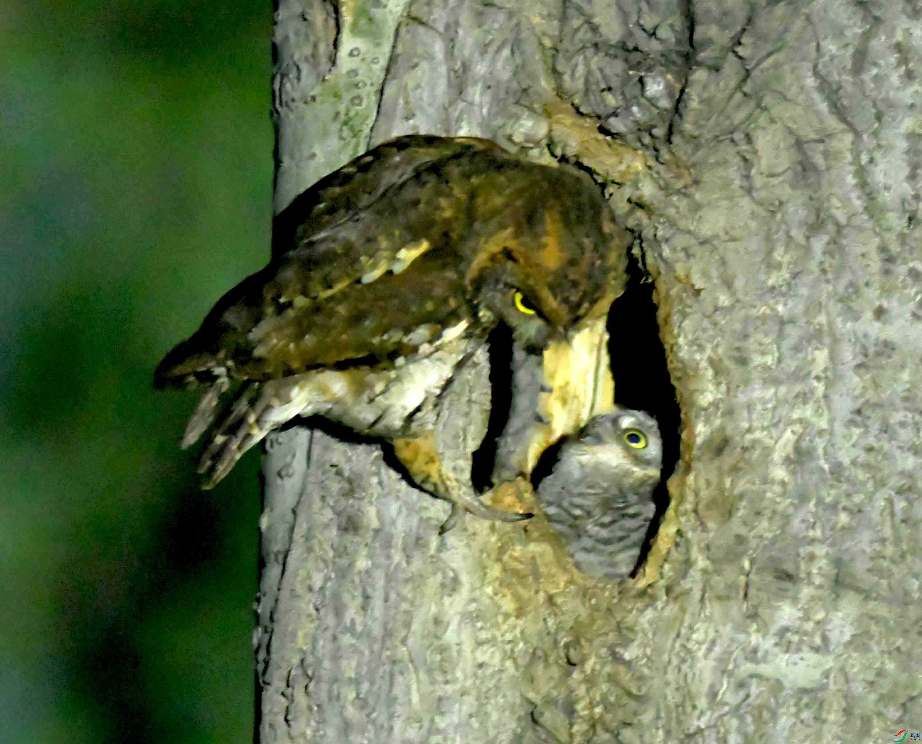 DSC_1410.JPG