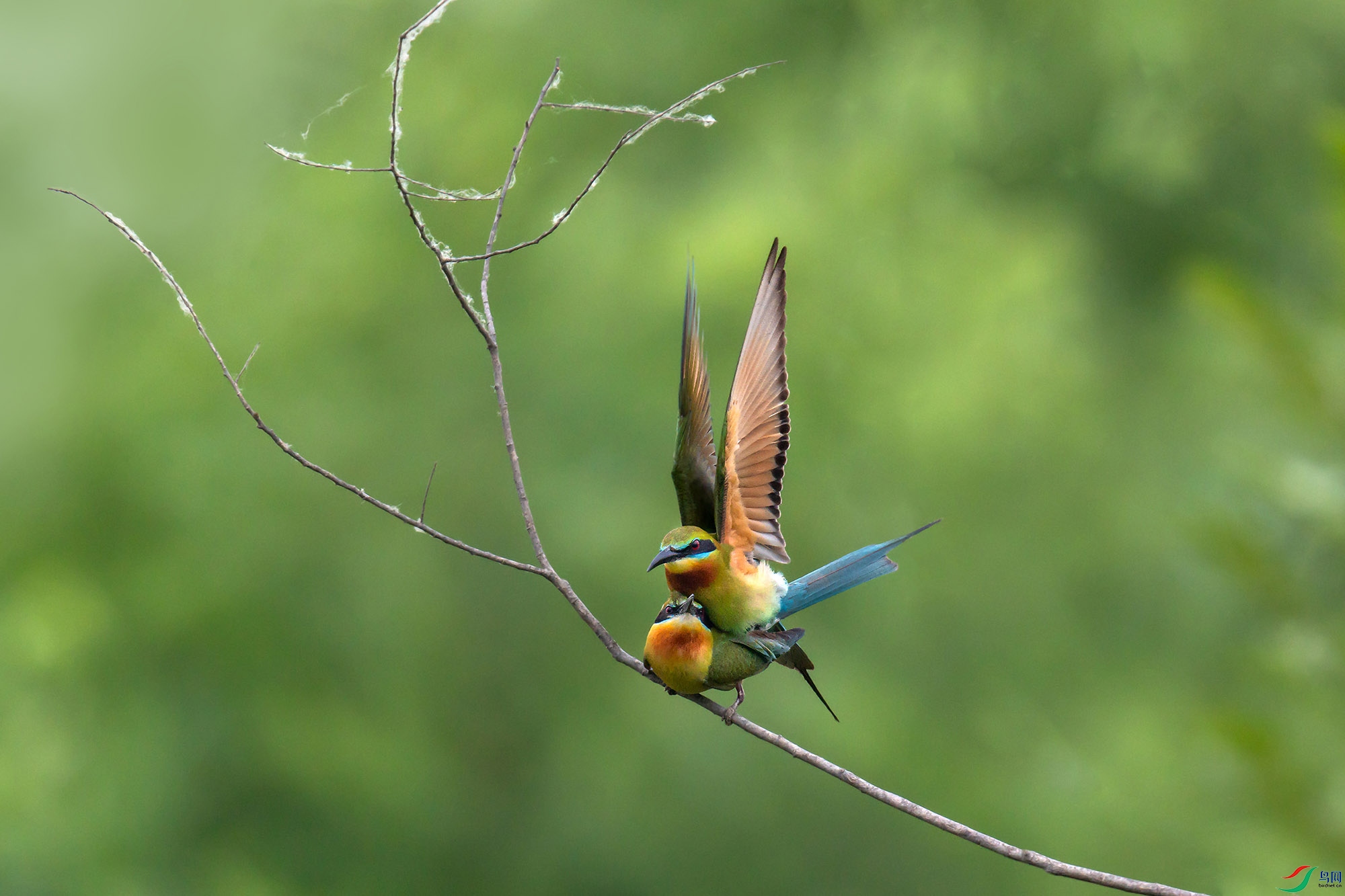 DSC_0337-����-topaz-sharpen ����.jpg