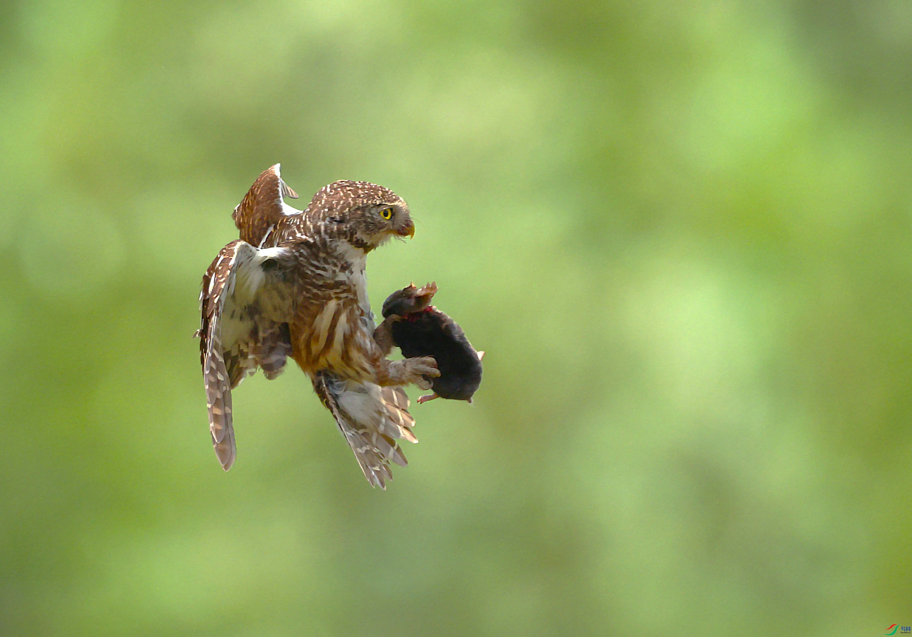 ��ͷ��m���� 2024-05-15 ������ˮ 3A3439-001_����1.JPG